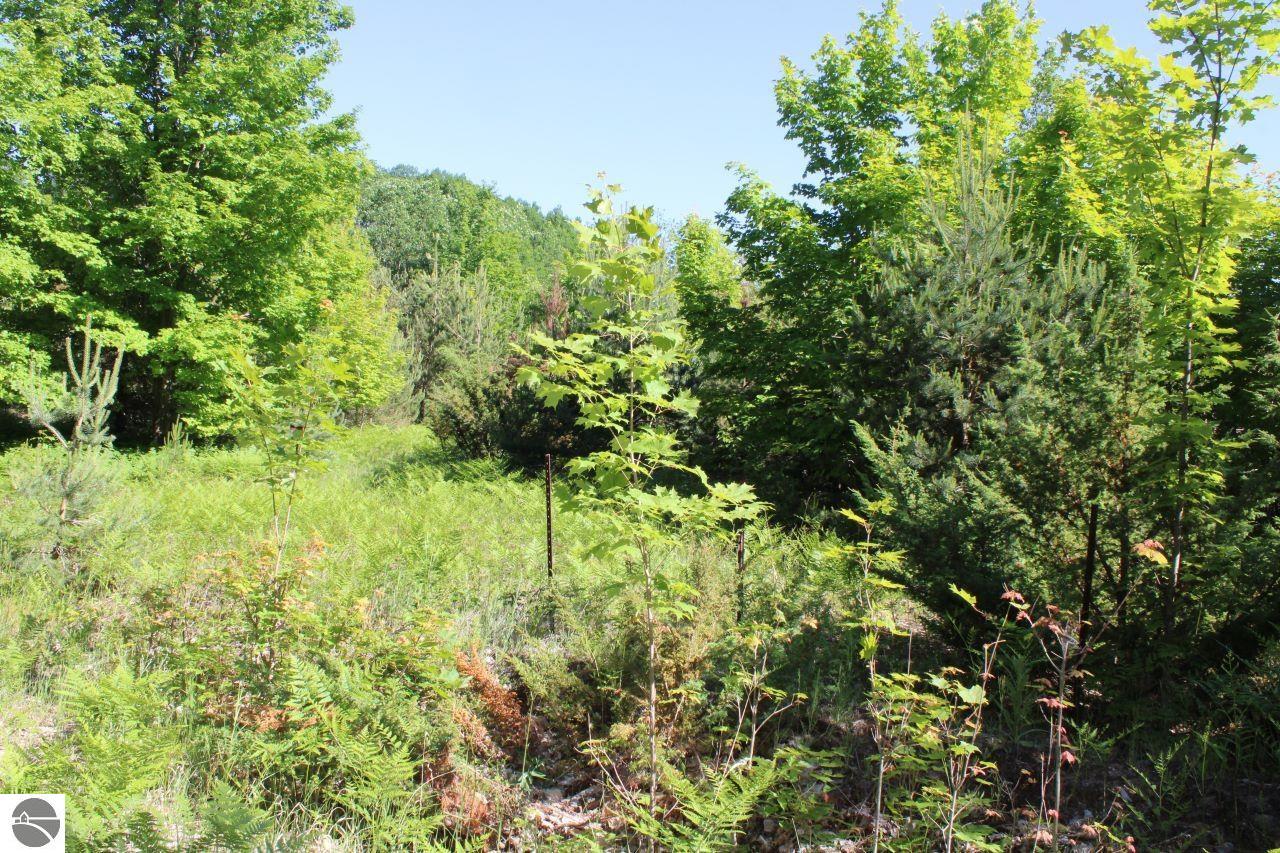 001 Griffin Road