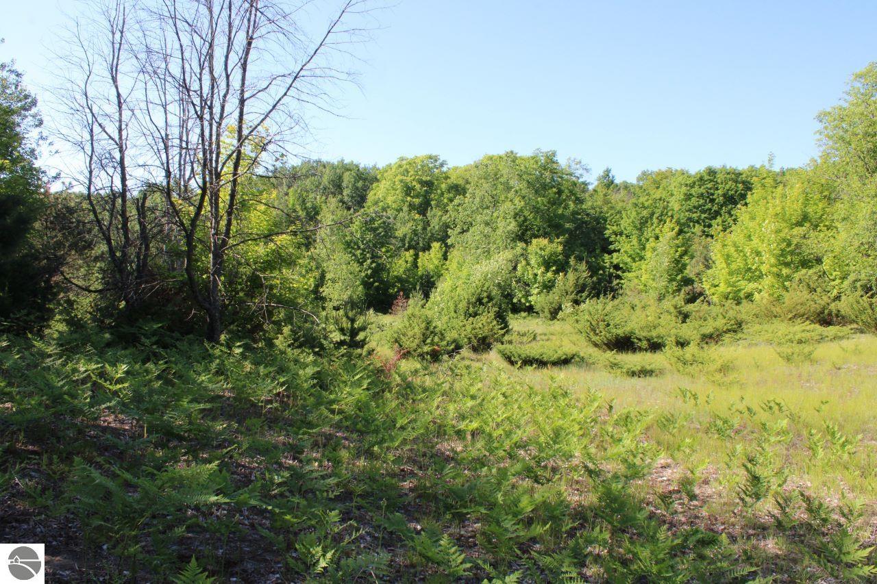 001 Griffin Road