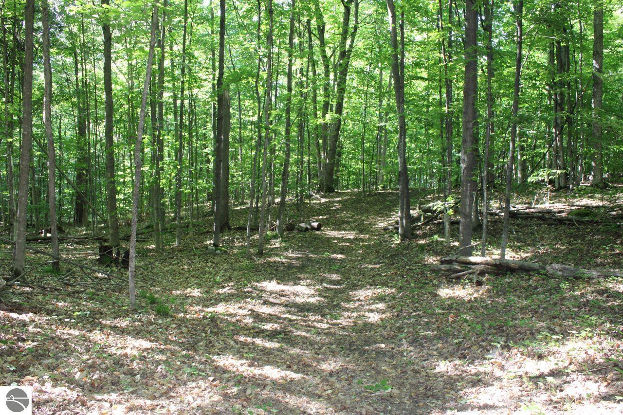 001 Griffin Road