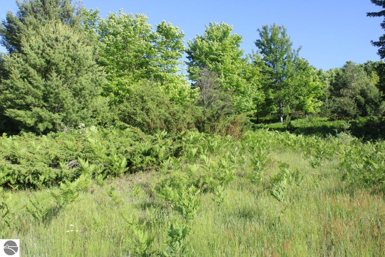 001 Griffin Road