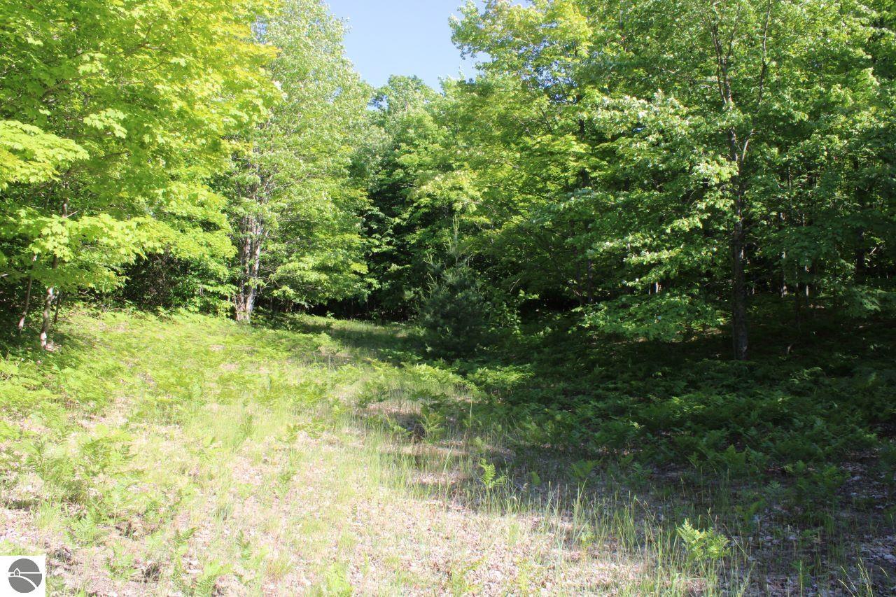 001 Griffin Road