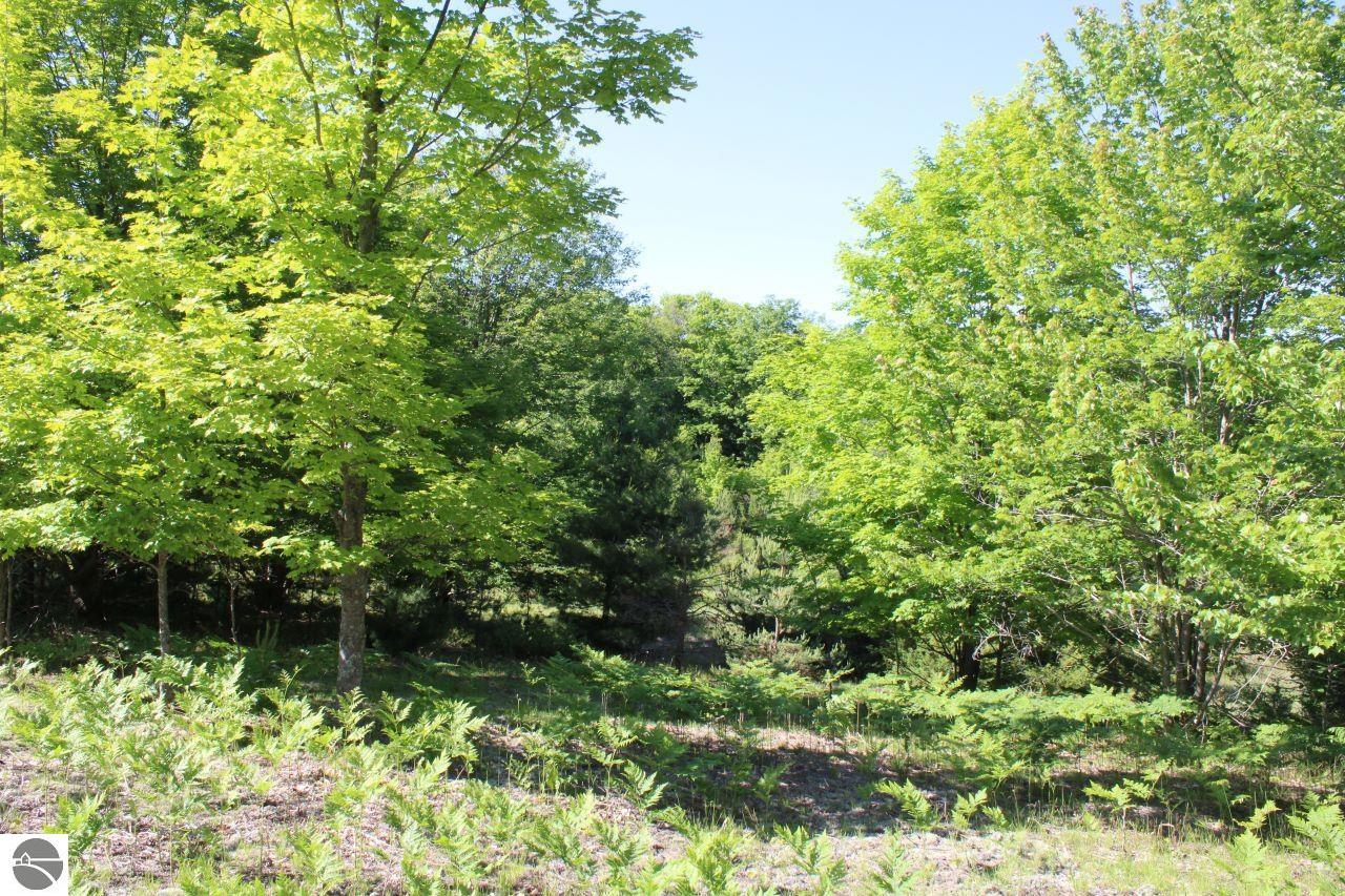 001 Griffin Road