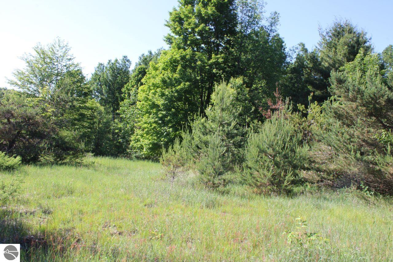 001 Griffin Road