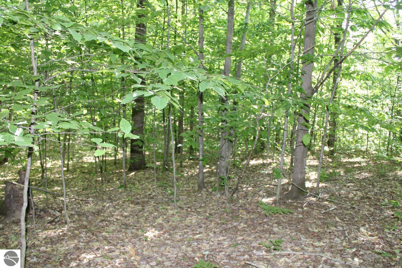 001 Griffin Road