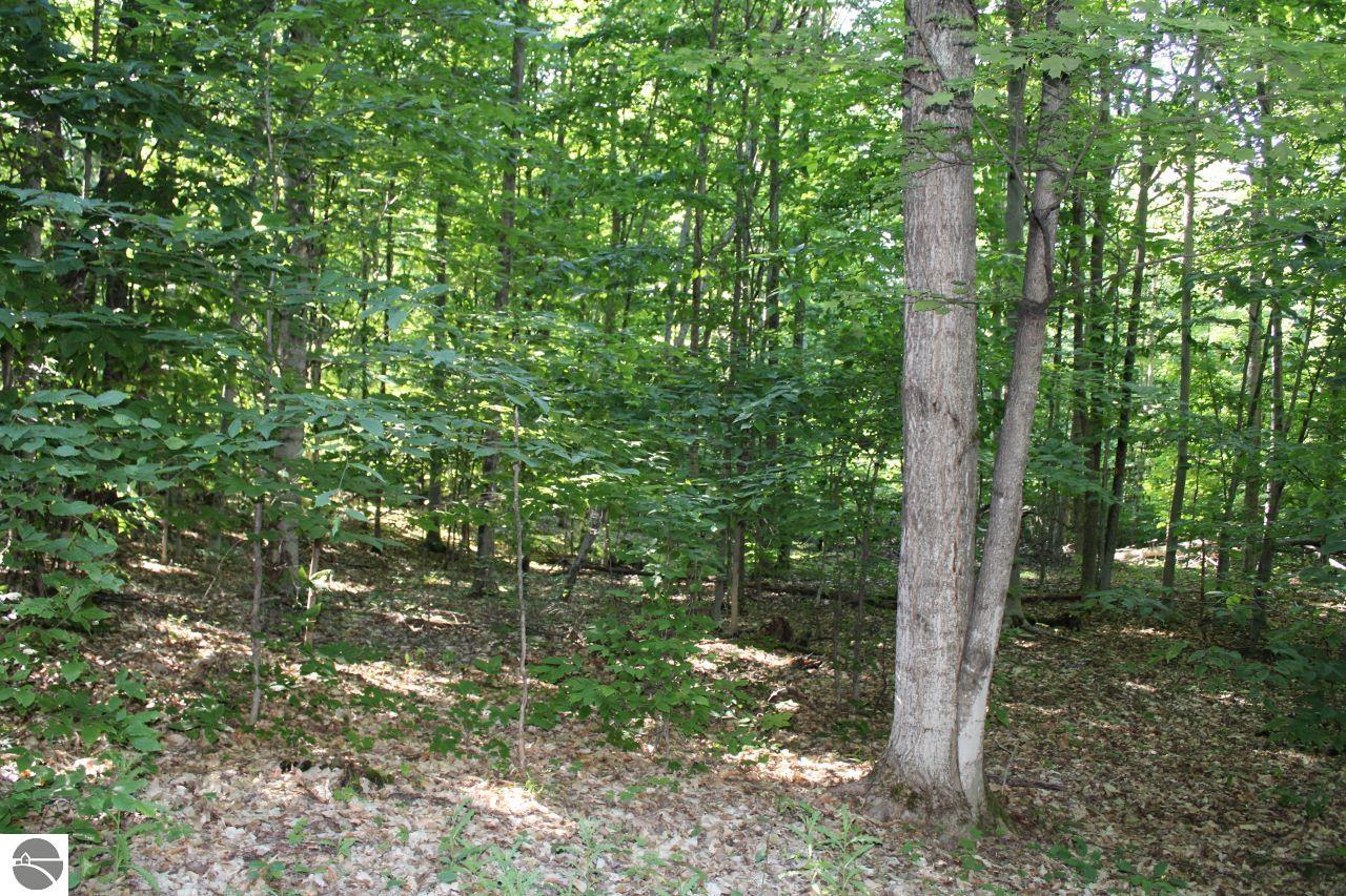001 Griffin Road