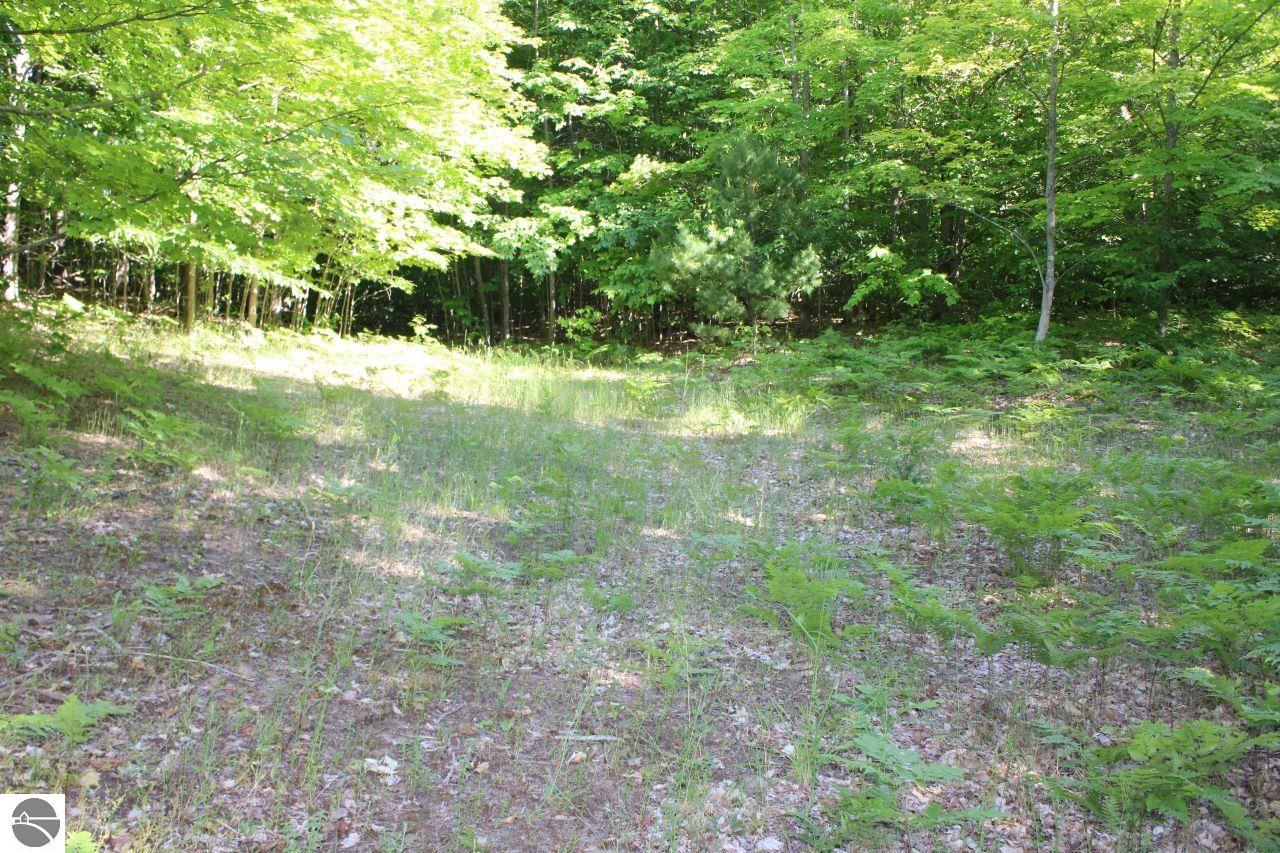001 Griffin Road