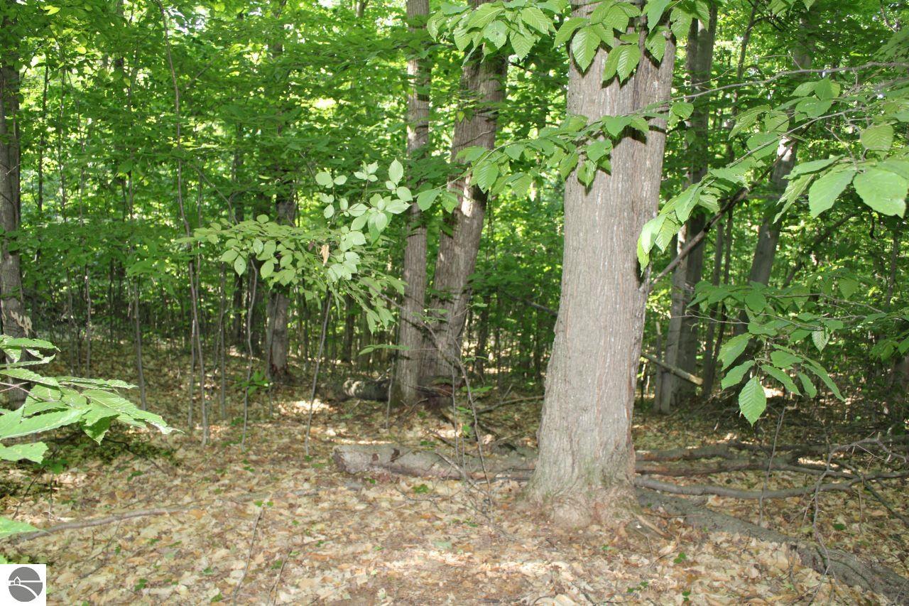 001 Griffin Road