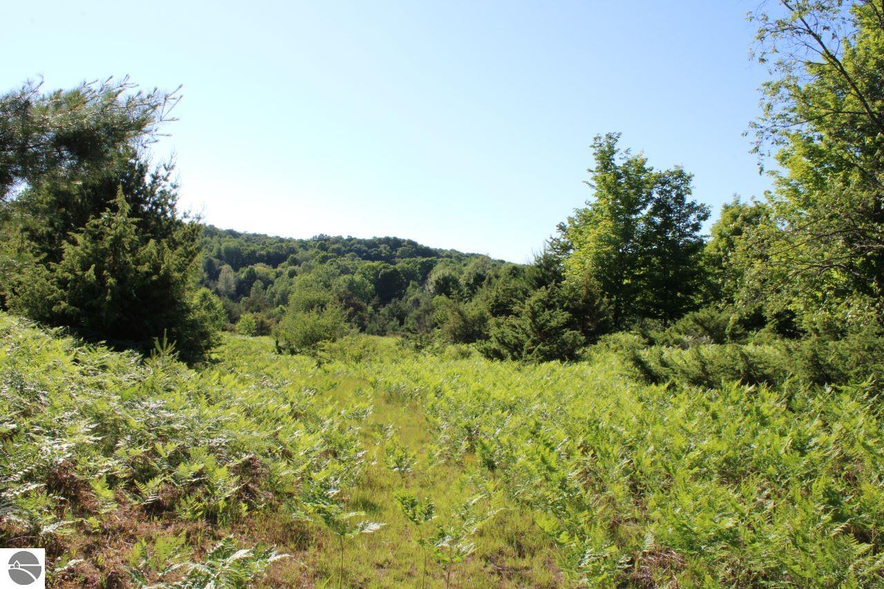 001 Griffin Road