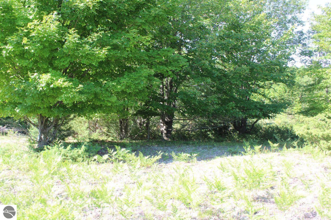 001 Griffin Road