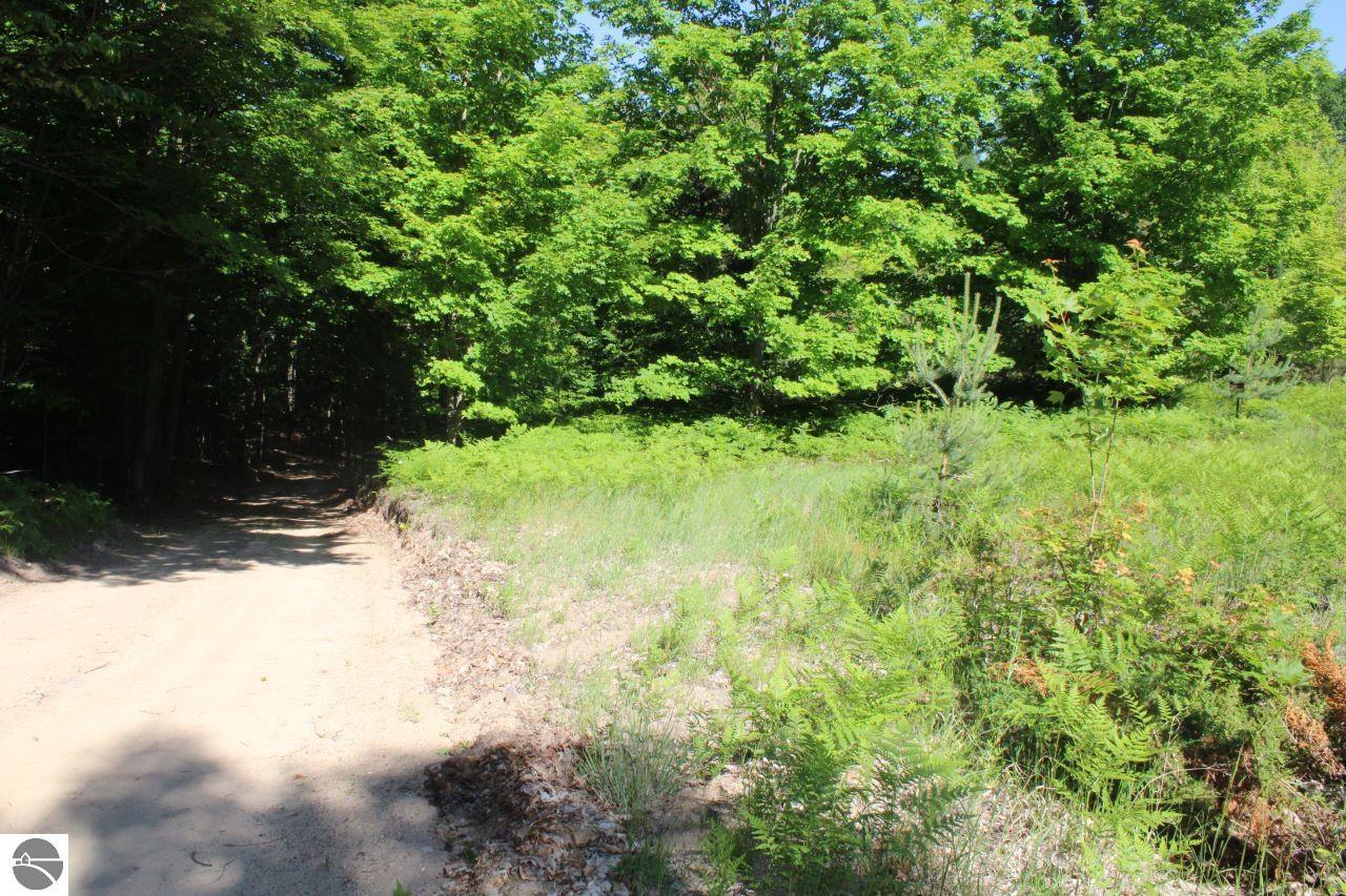 001 Griffin Road