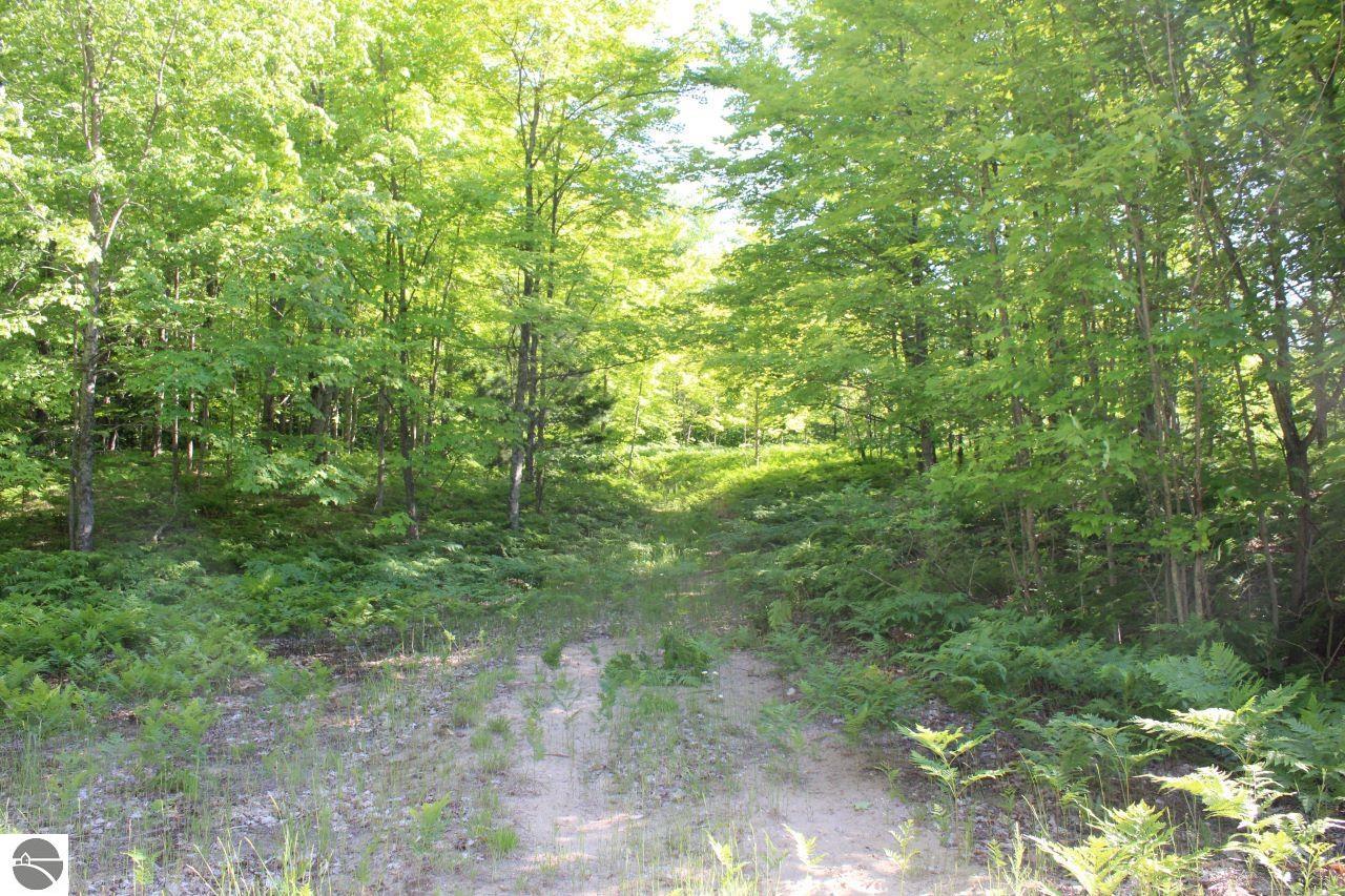 001 Griffin Road