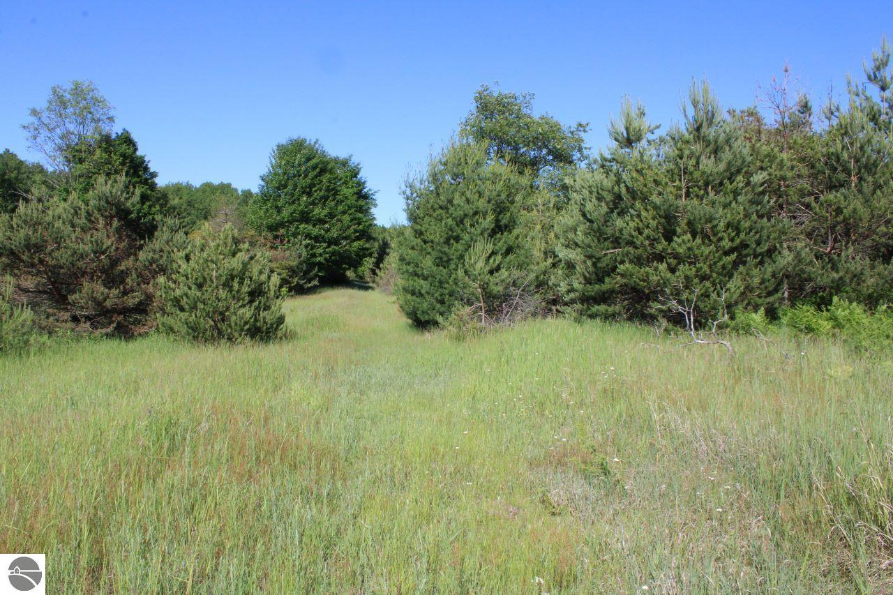 001 Griffin Road