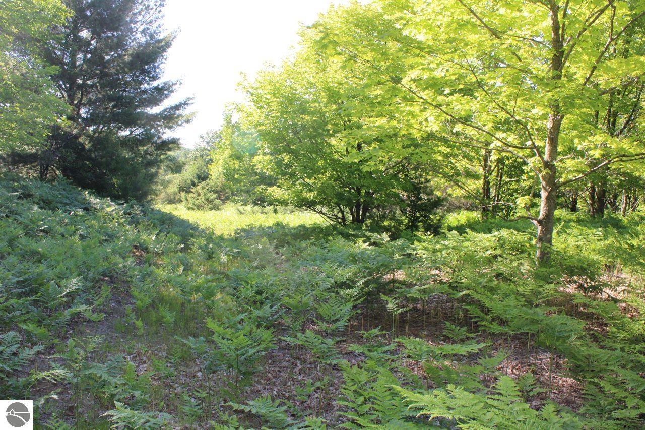 001 Griffin Road