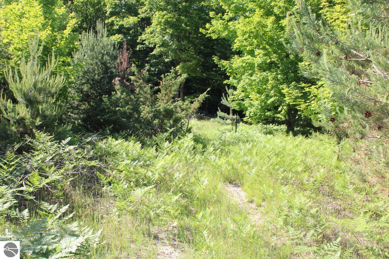 001 Griffin Road