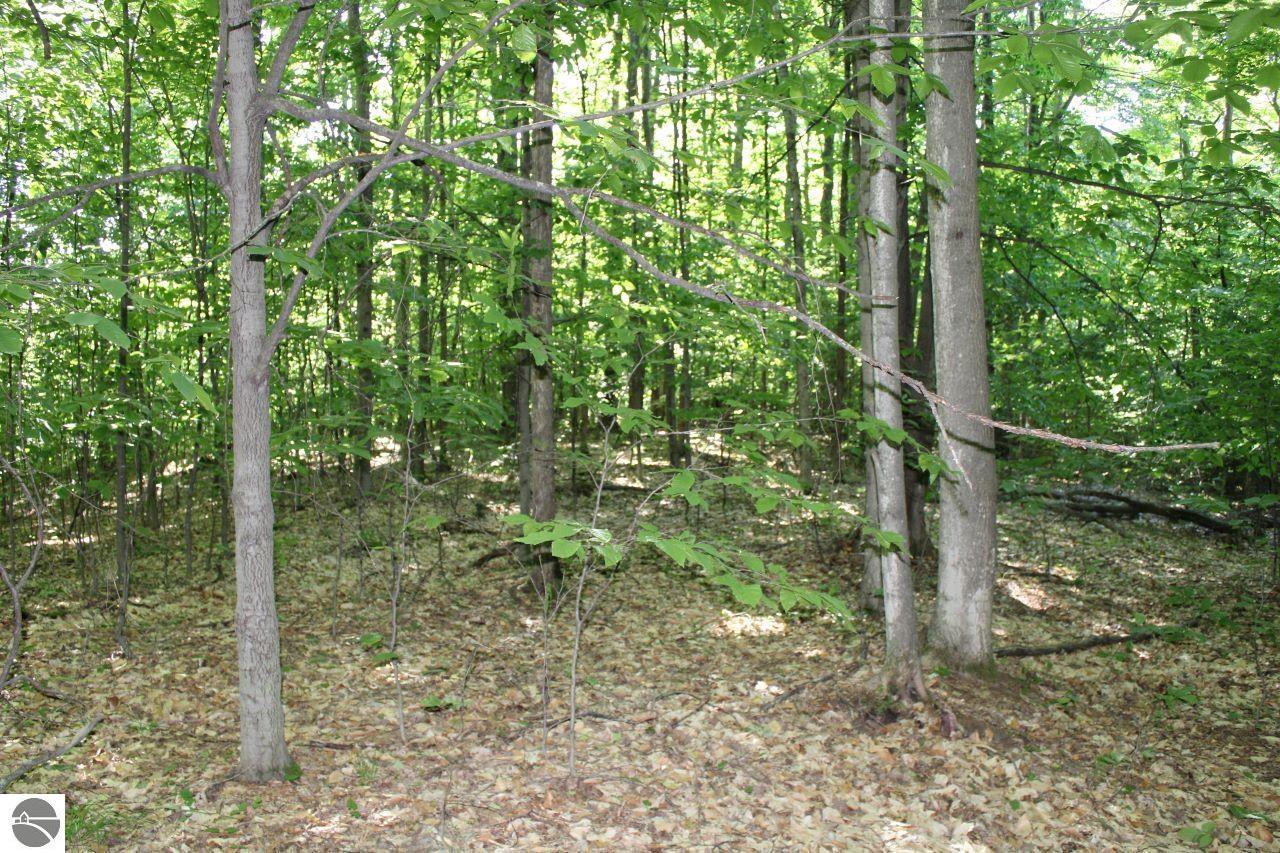 001 Griffin Road