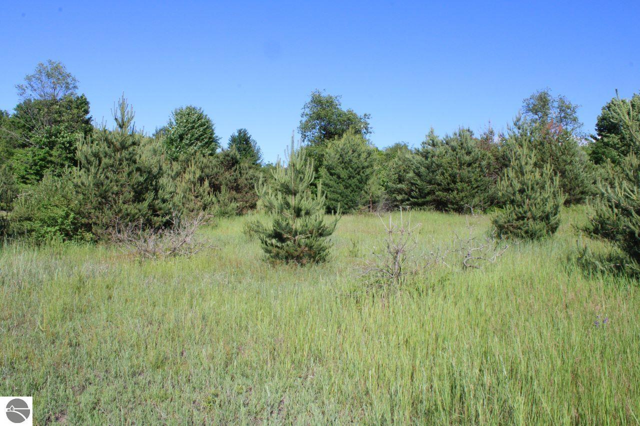 001 Griffin Road