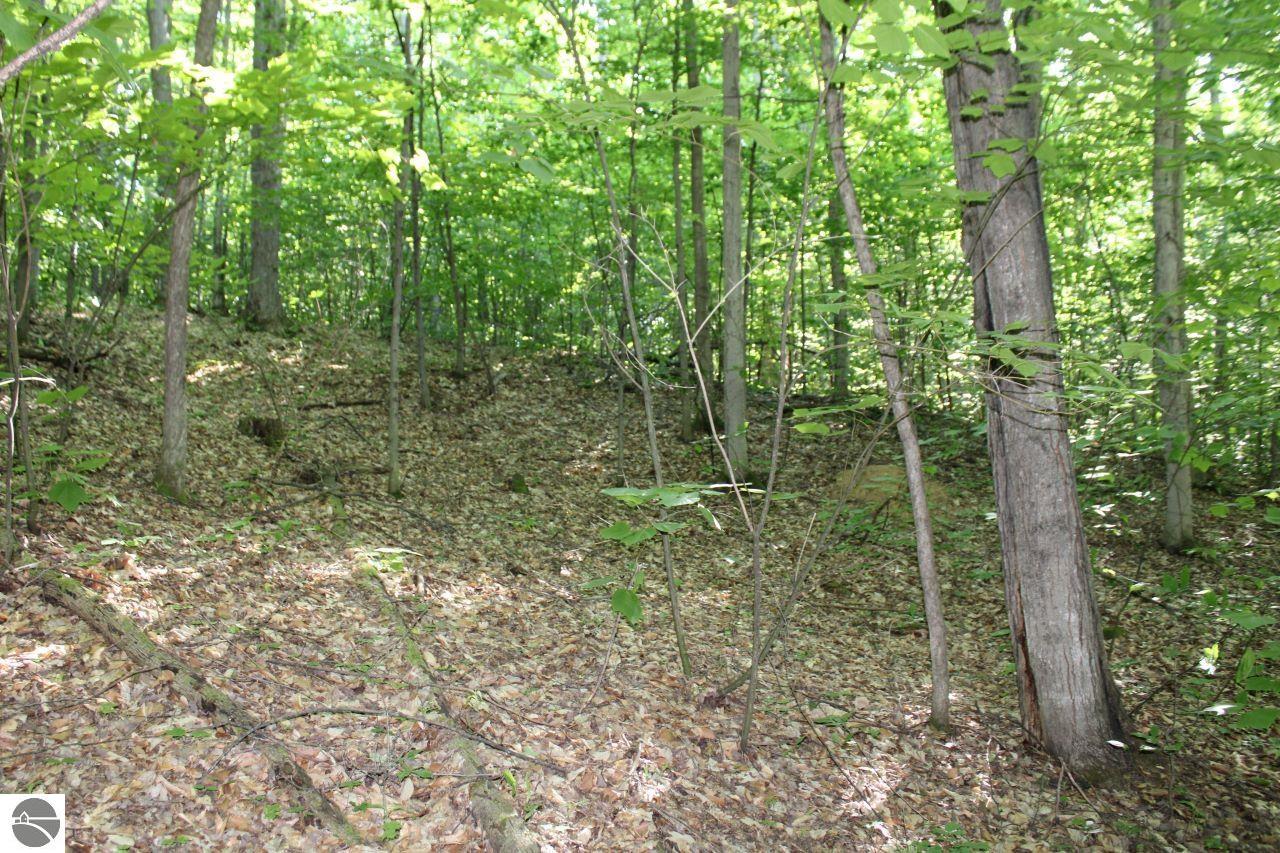 001 Griffin Road