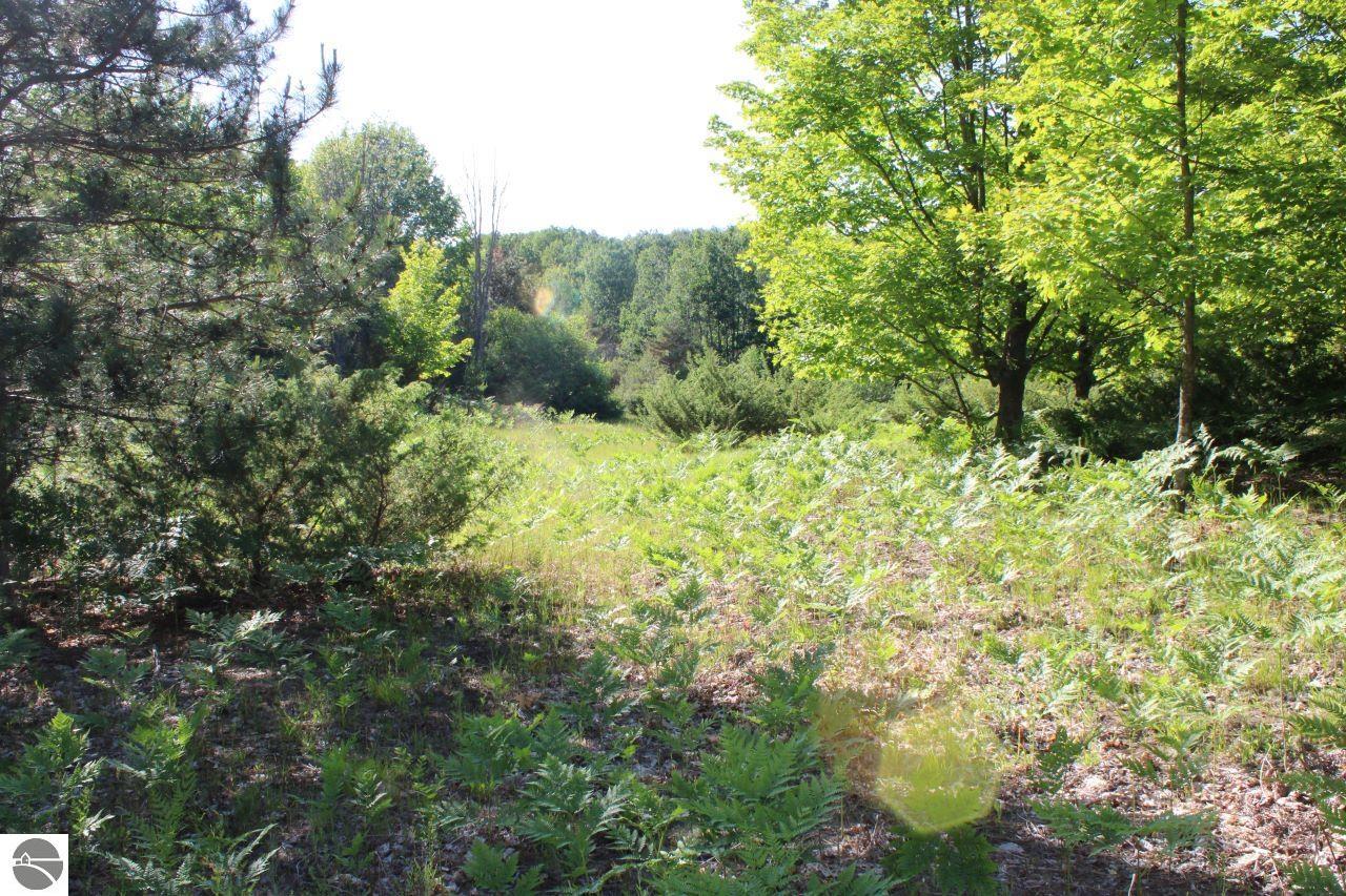 001 Griffin Road