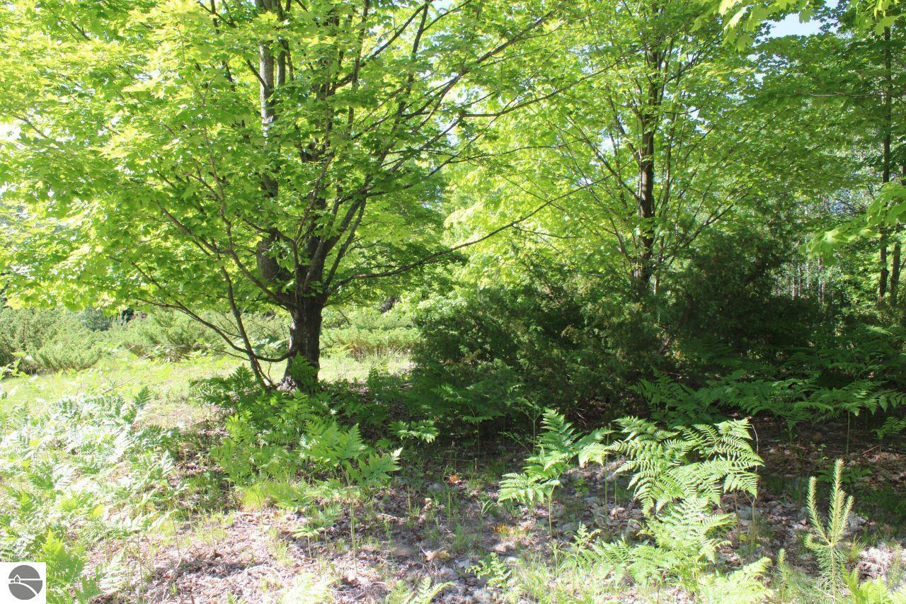 001 Griffin Road