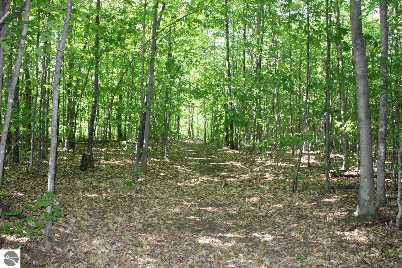 001 Griffin Road