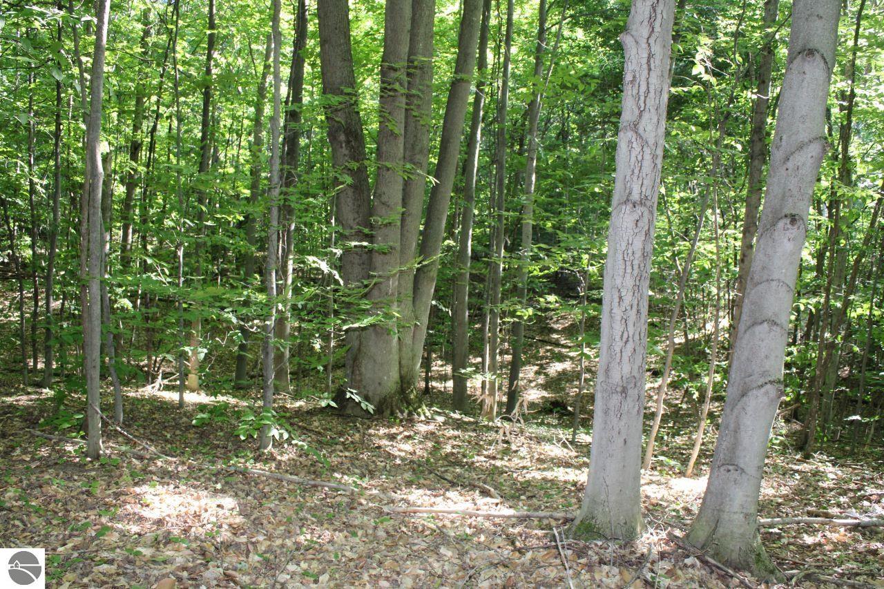 001 Griffin Road