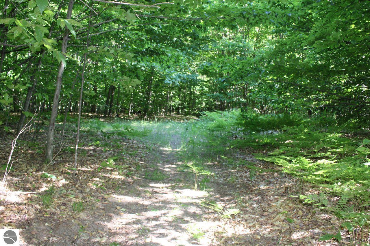 001 Griffin Road