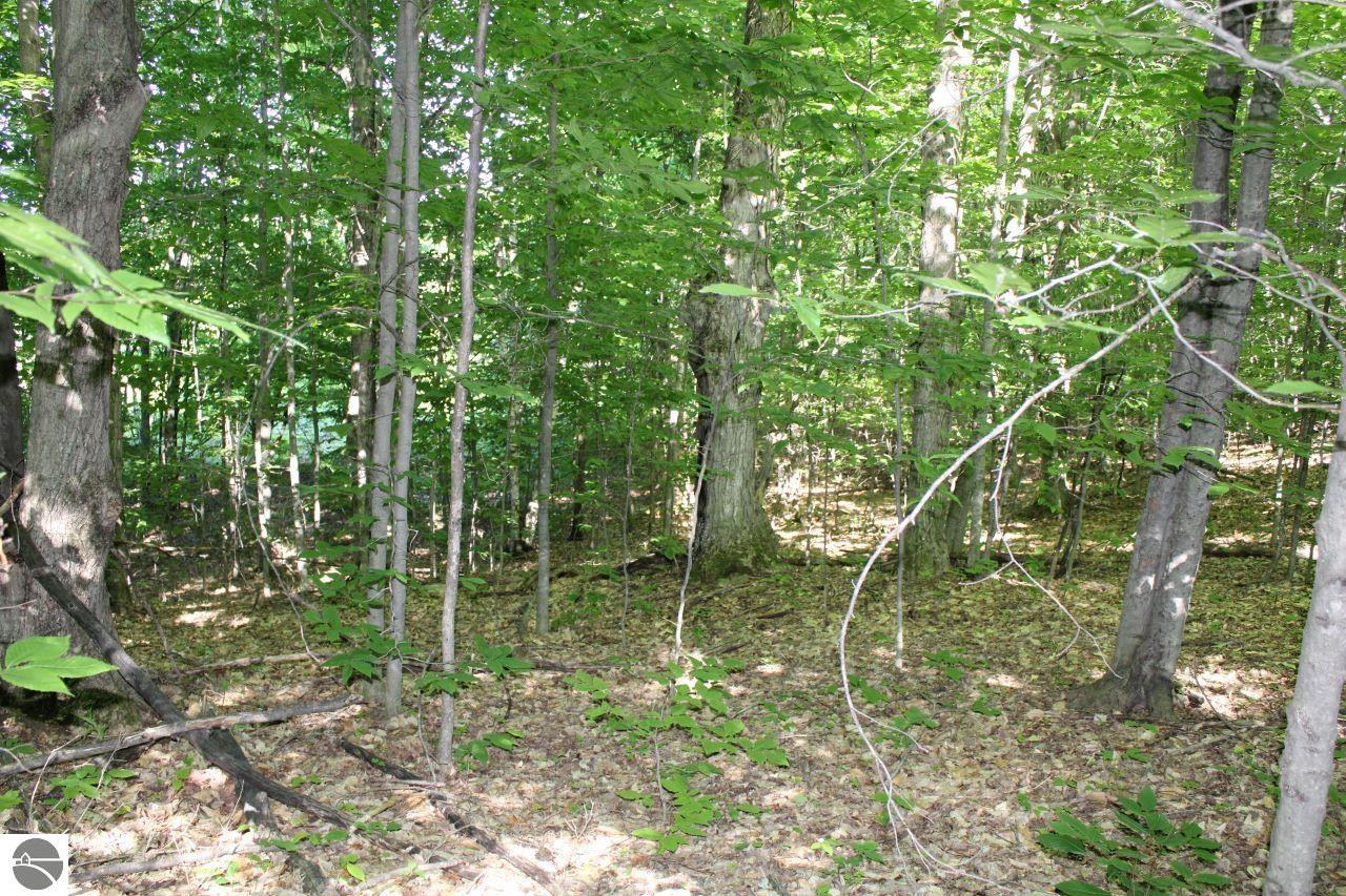 001 Griffin Road