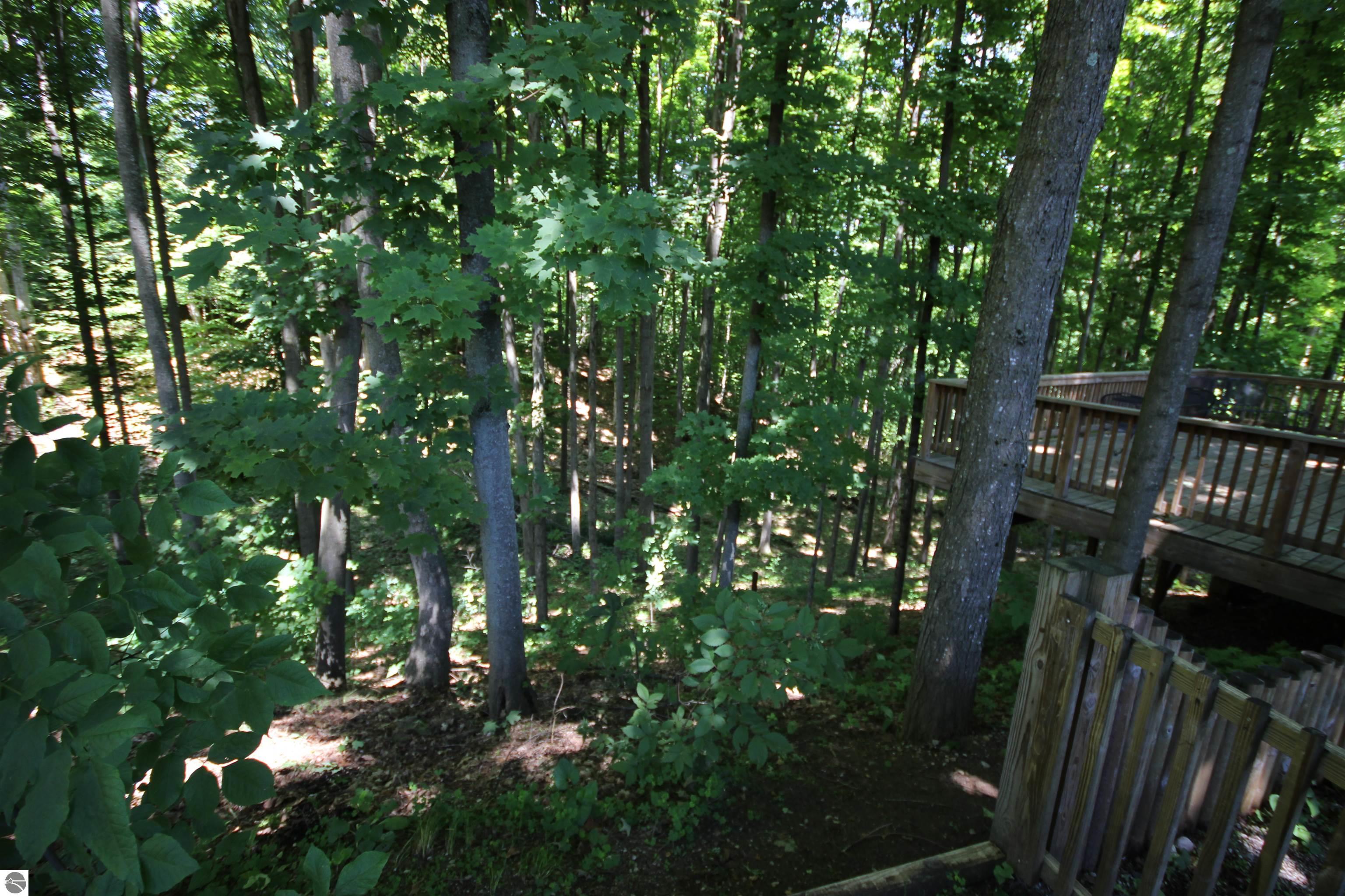 10862 S Blue Ridge Lane