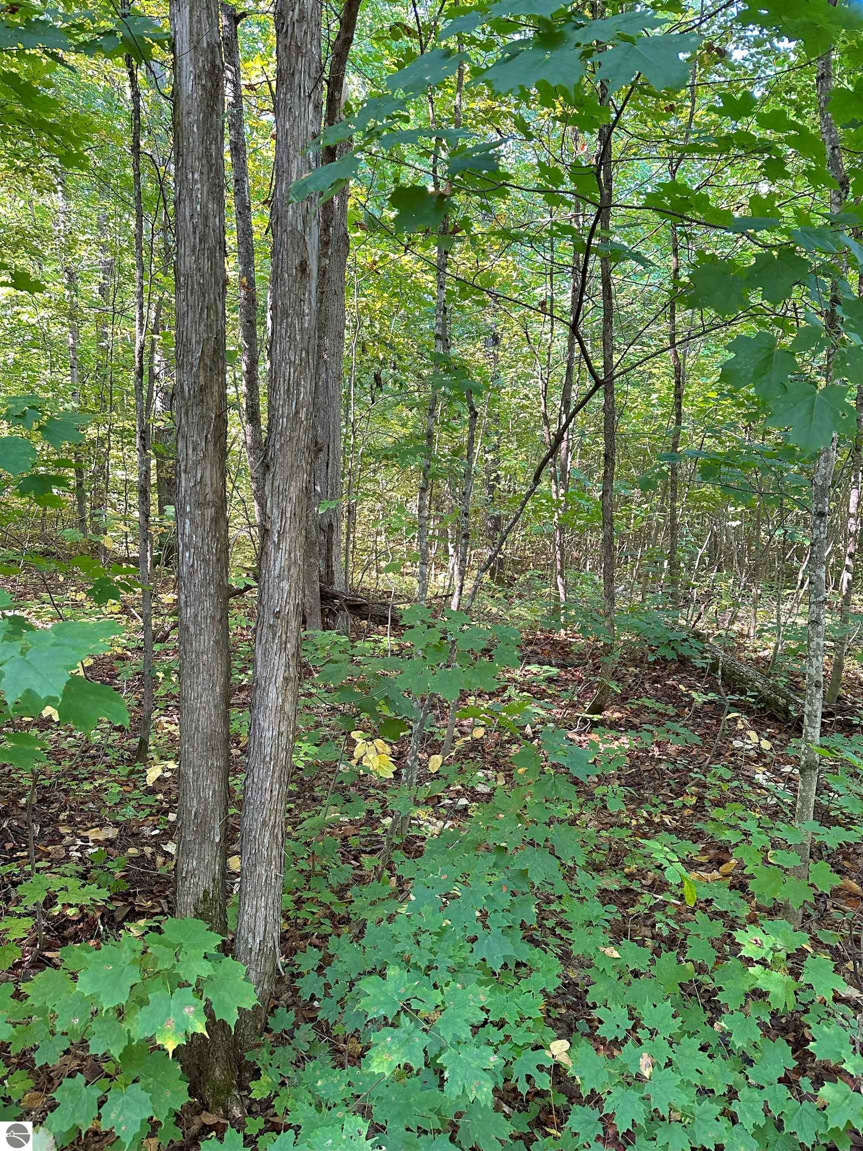 000 Musser Road
