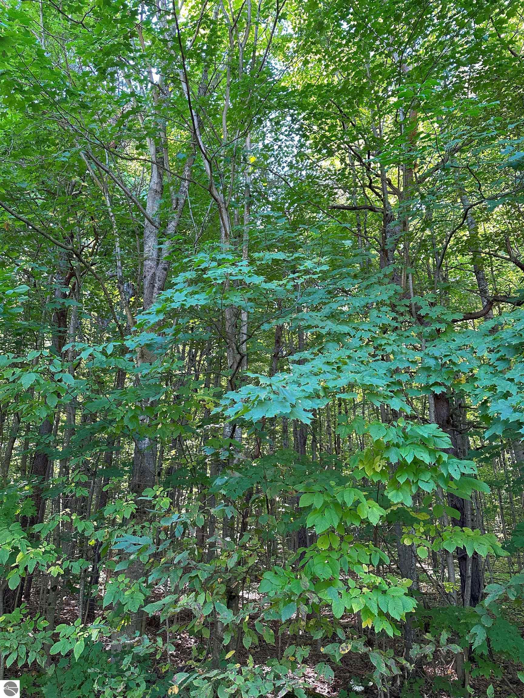 000 Musser Road