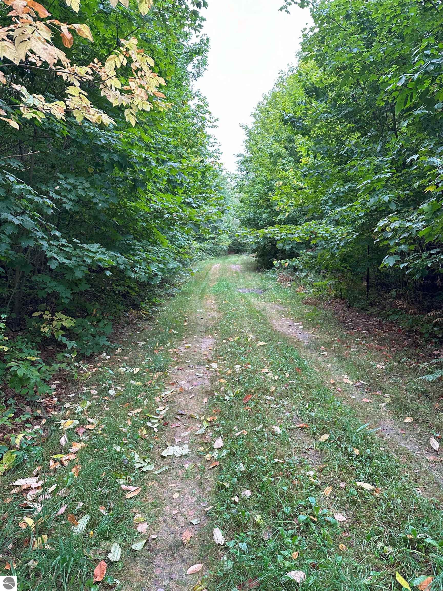 000 Musser Road