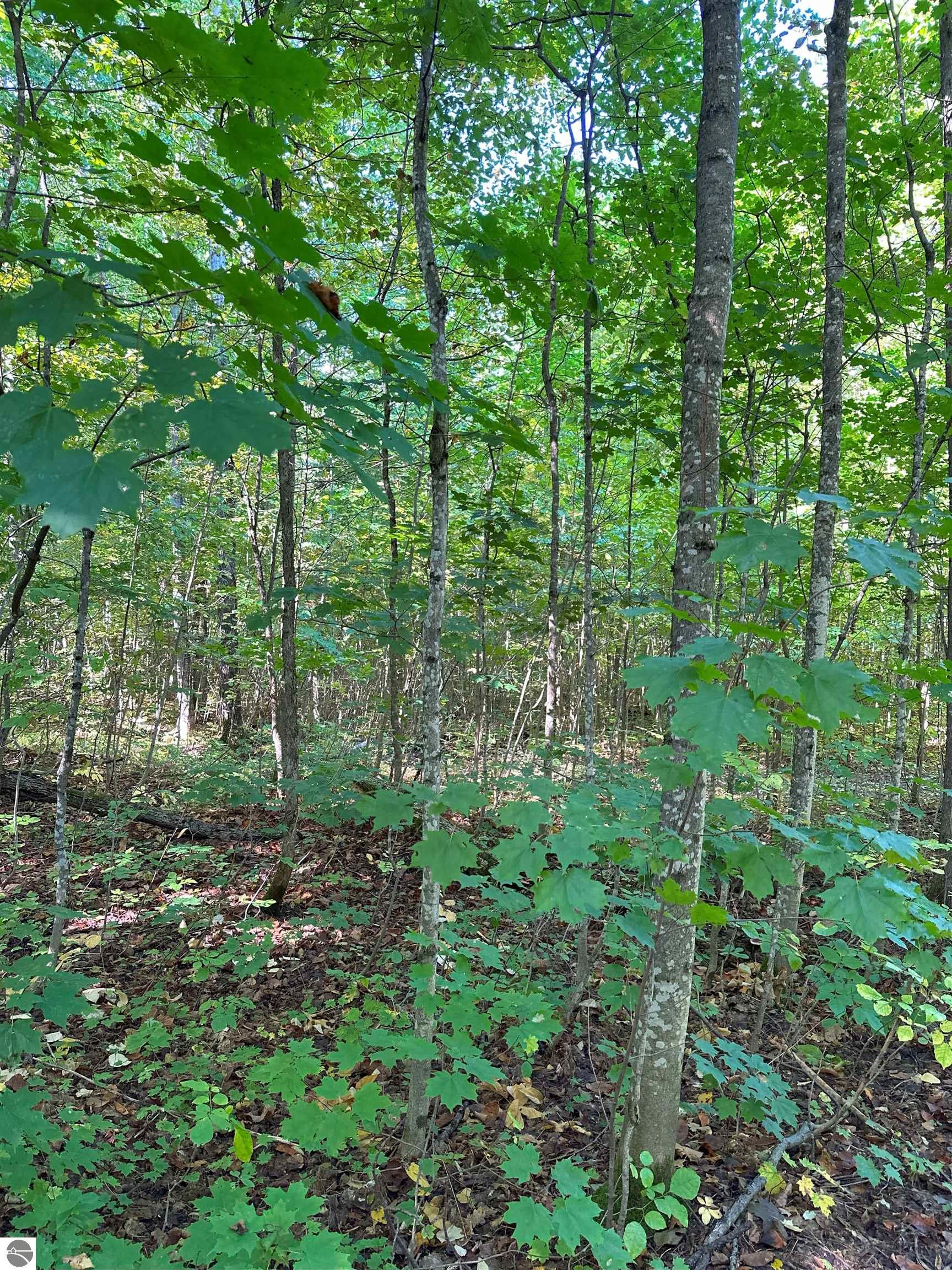000 Musser Road