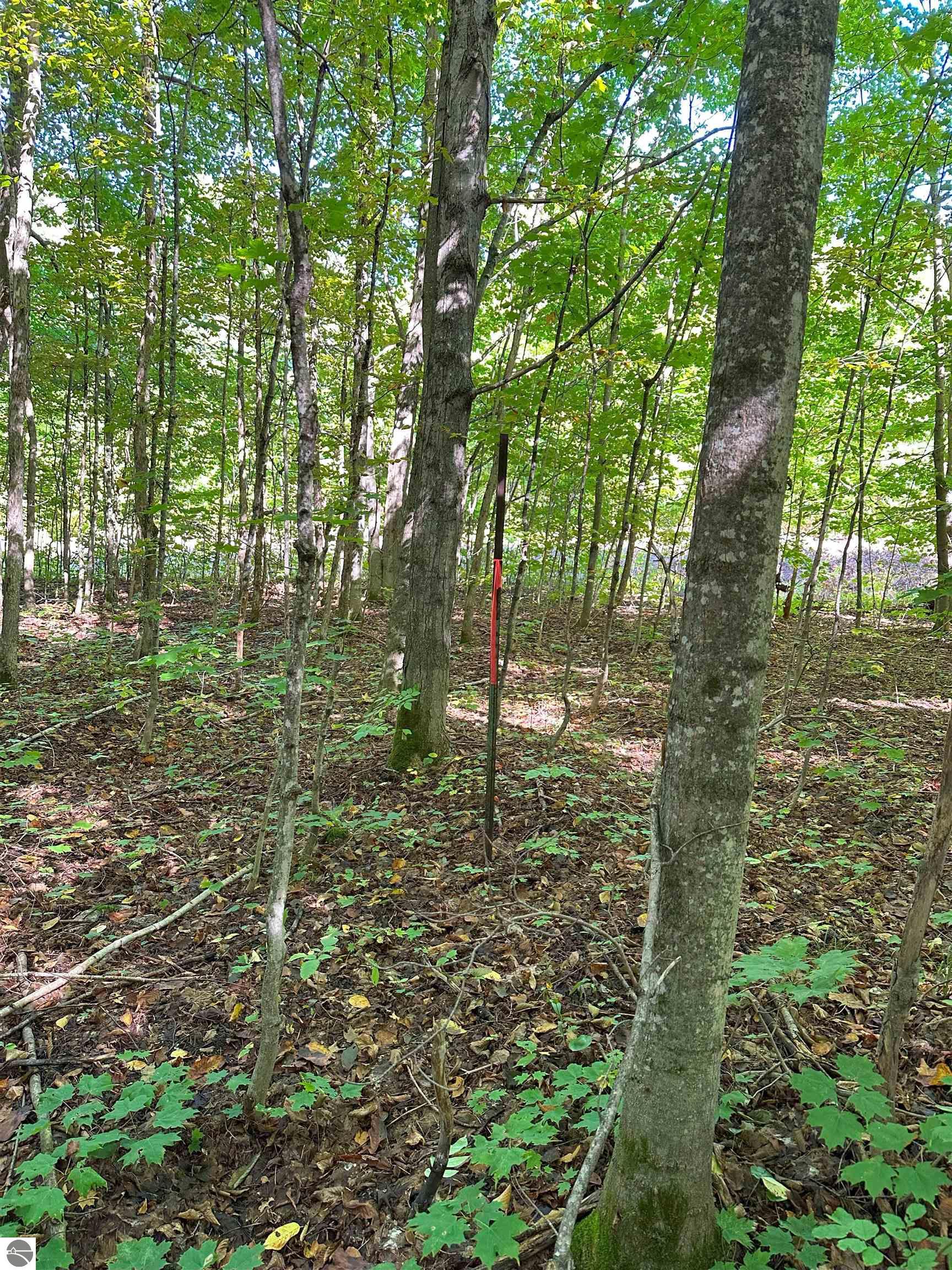 000 Musser Road