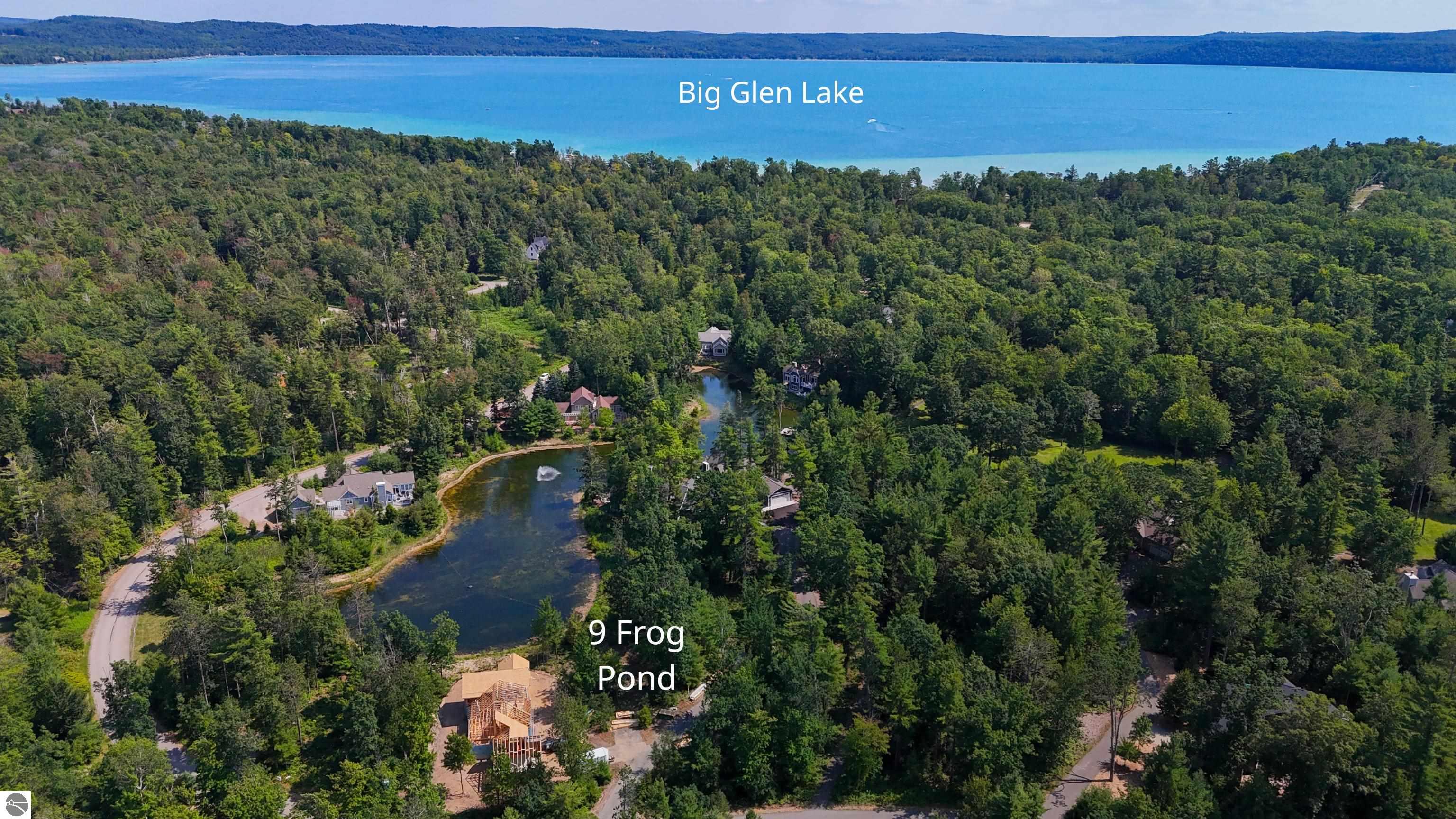 9 Frog Pond