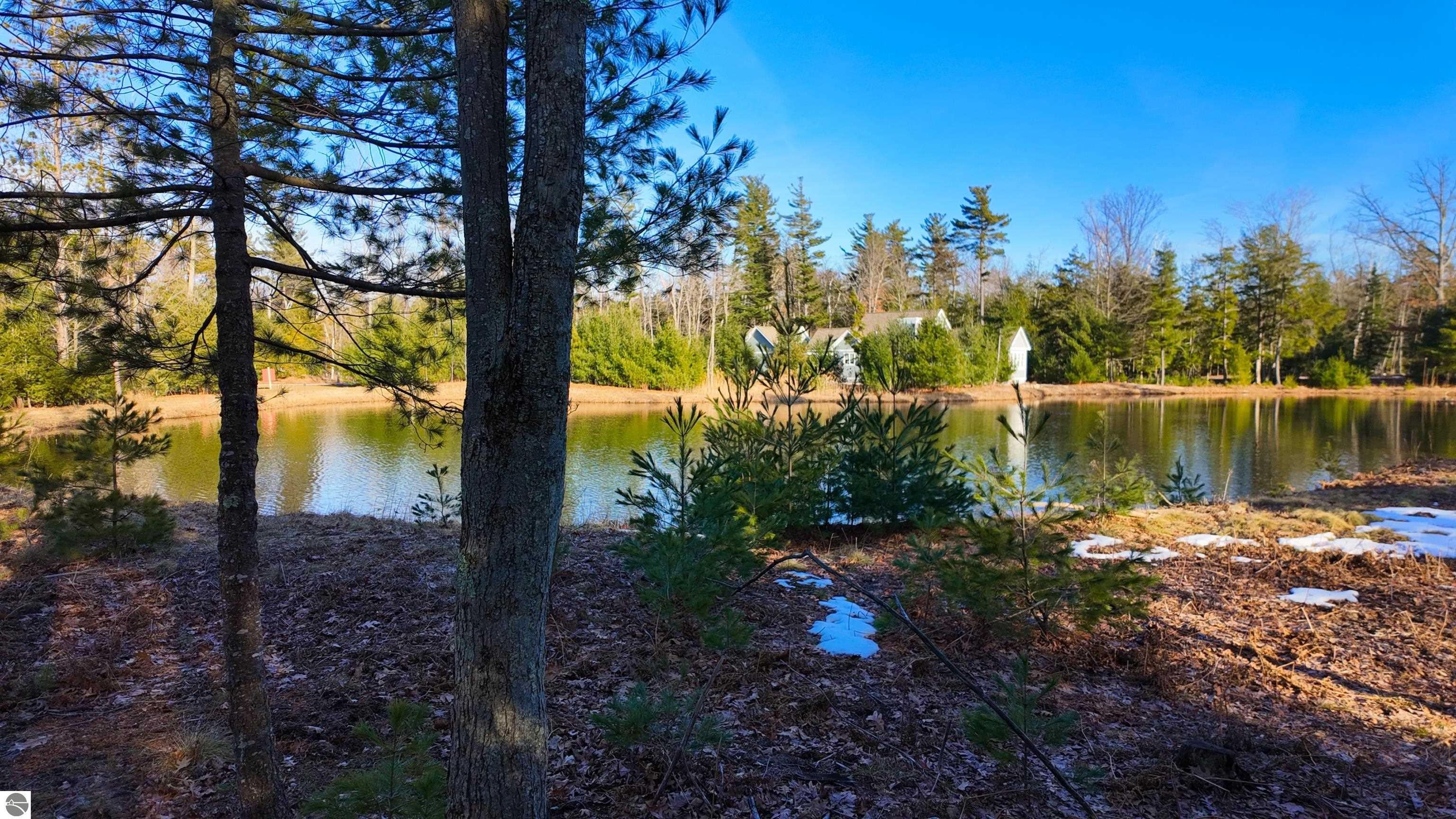 9 Frog Pond