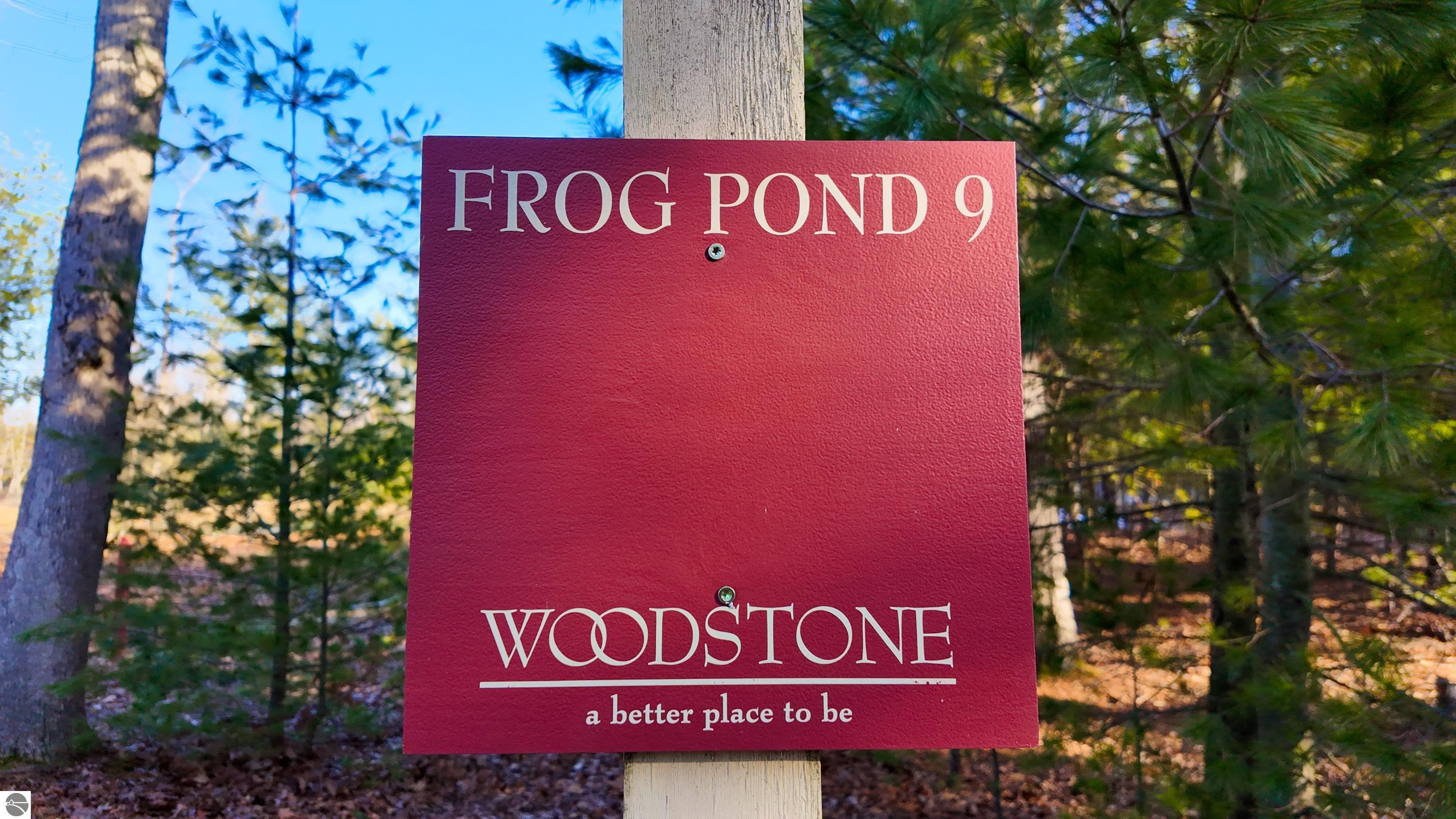 9 Frog Pond