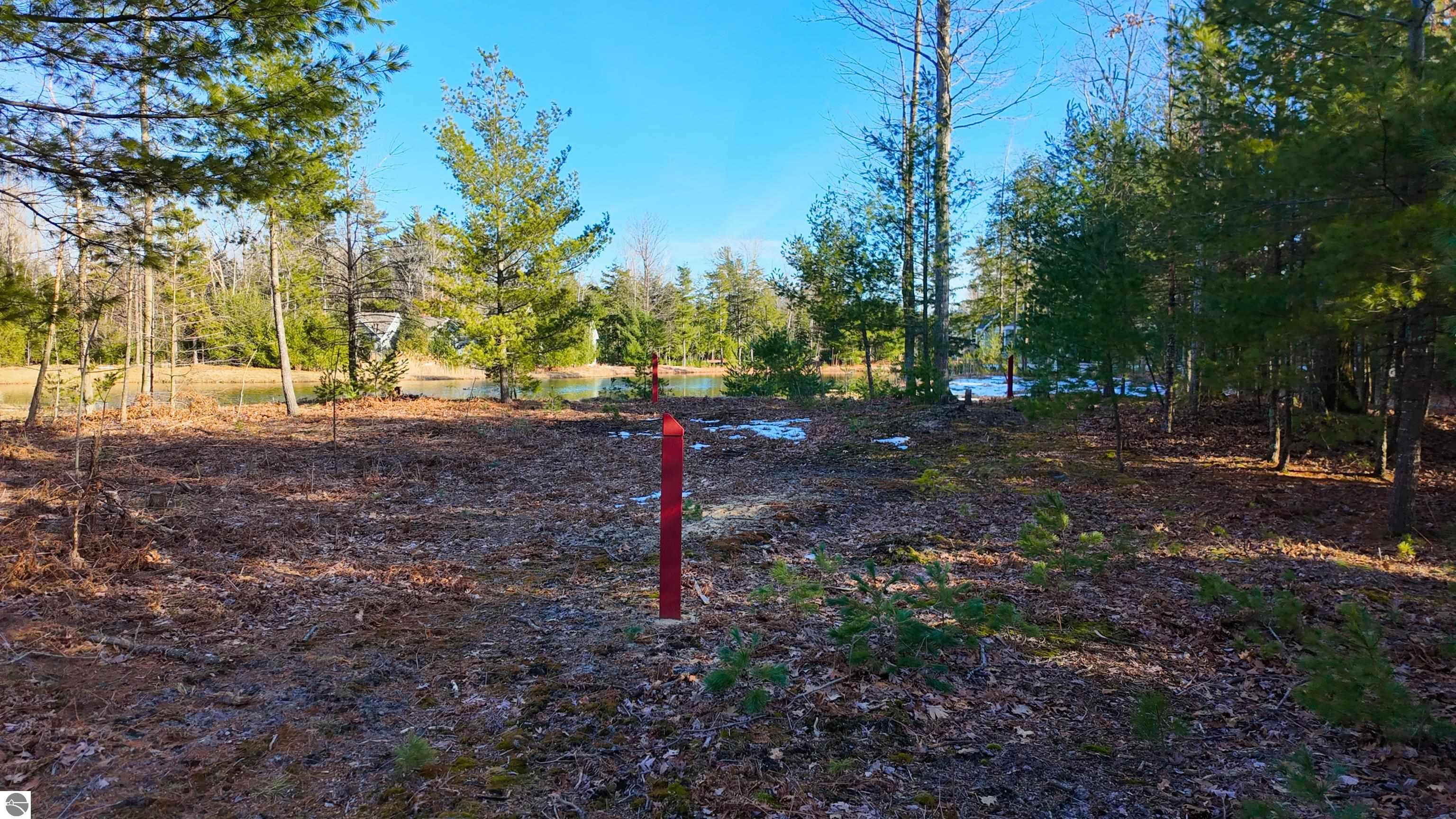 9 Frog Pond