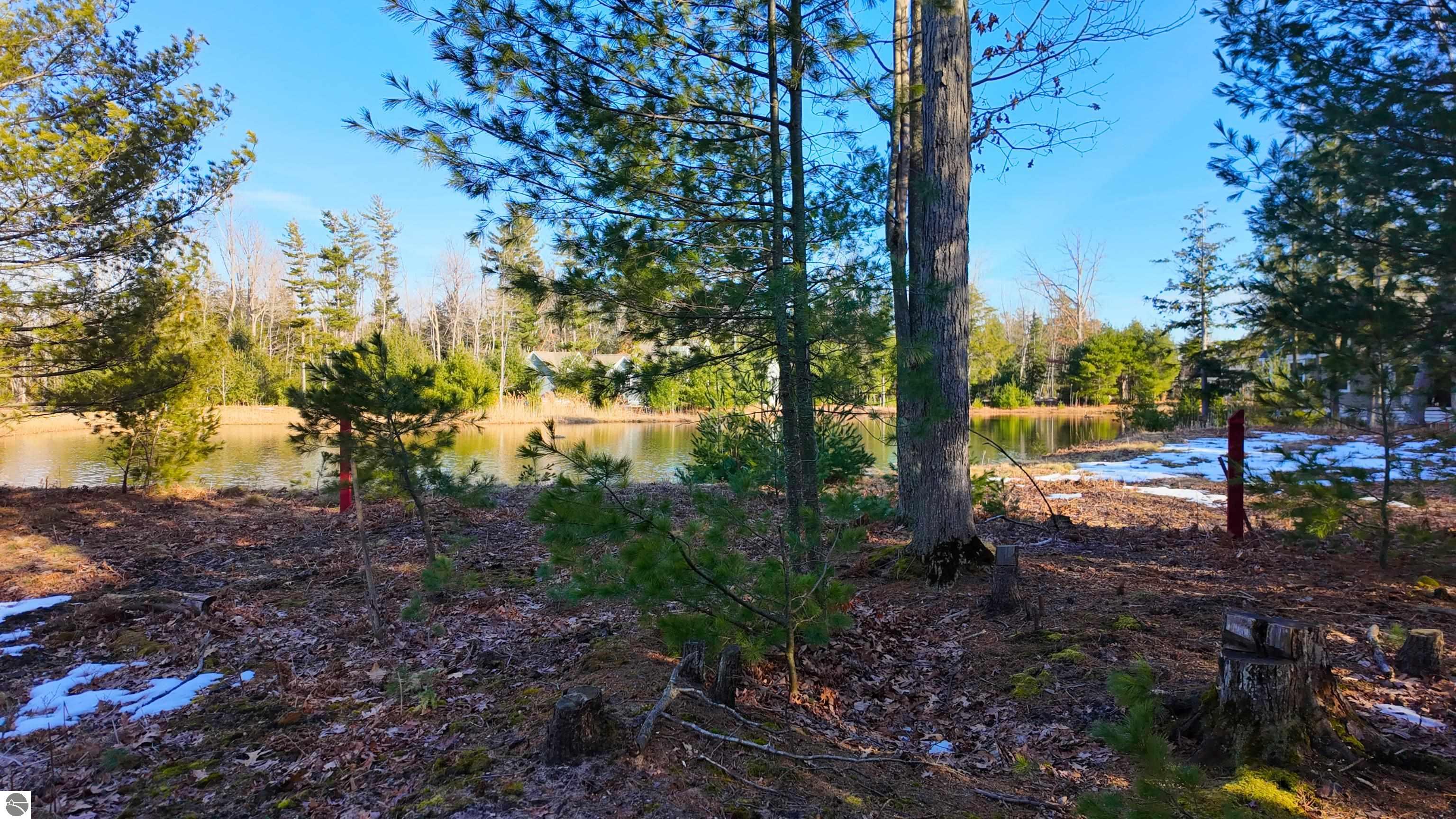 9 Frog Pond