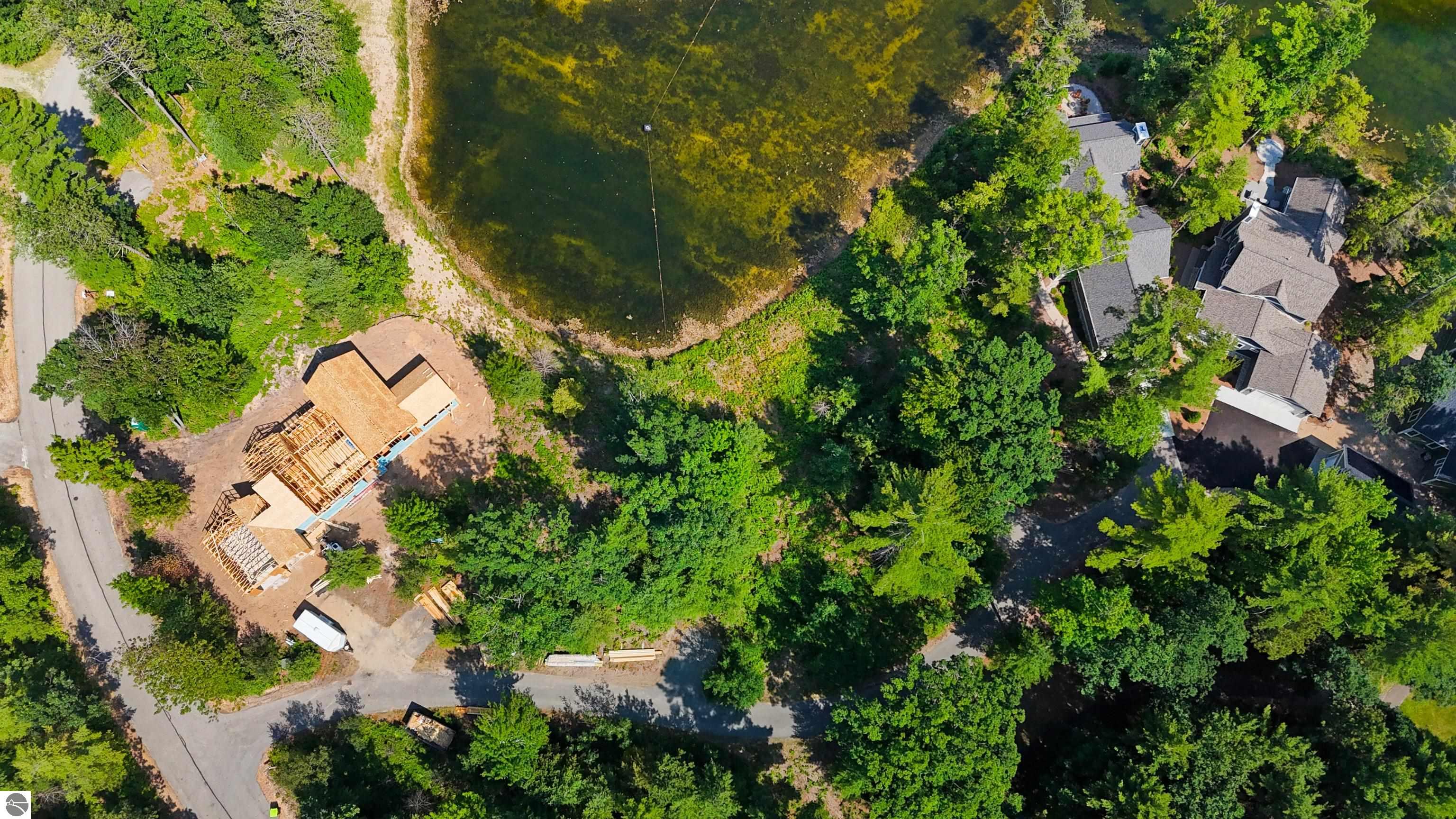 9 Frog Pond