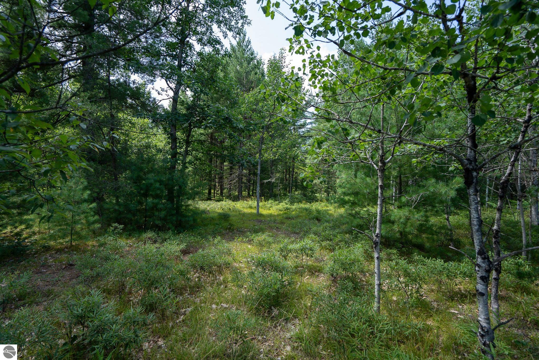 2817 Lake Road