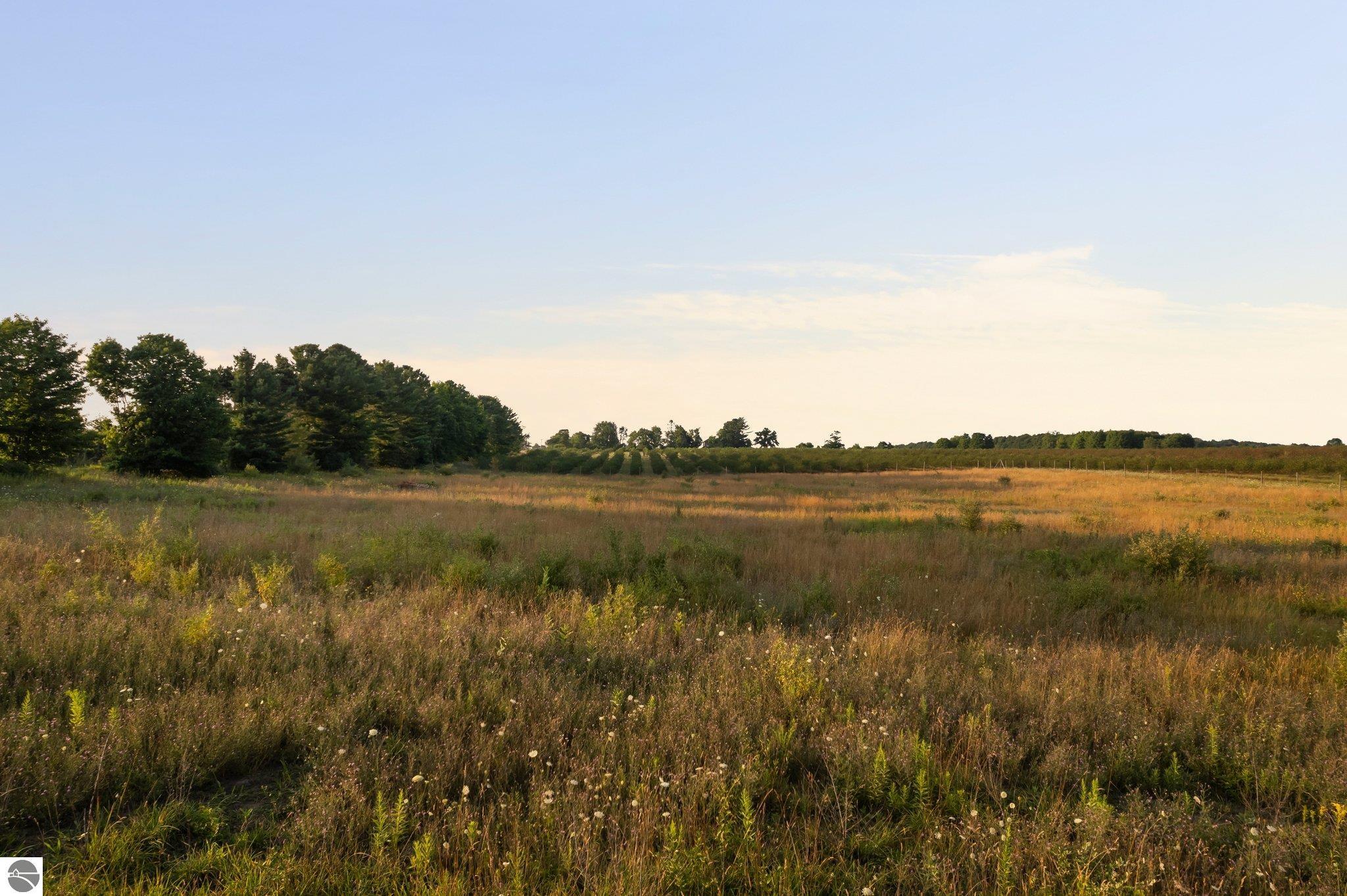 Chippewa Trail
