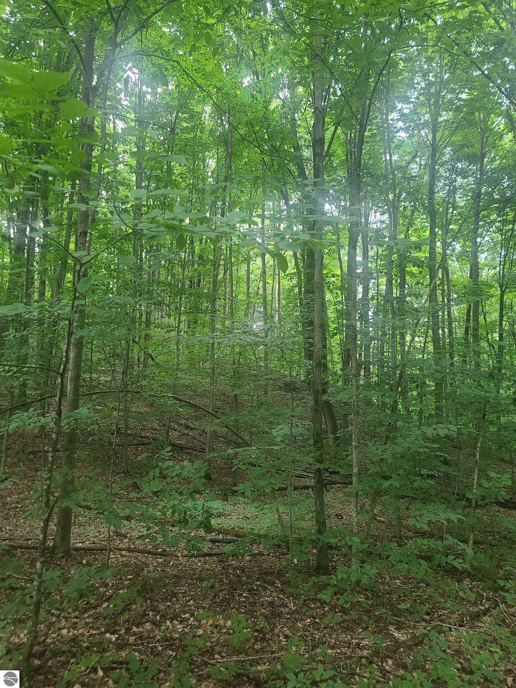 0000 Trail 29 Lane