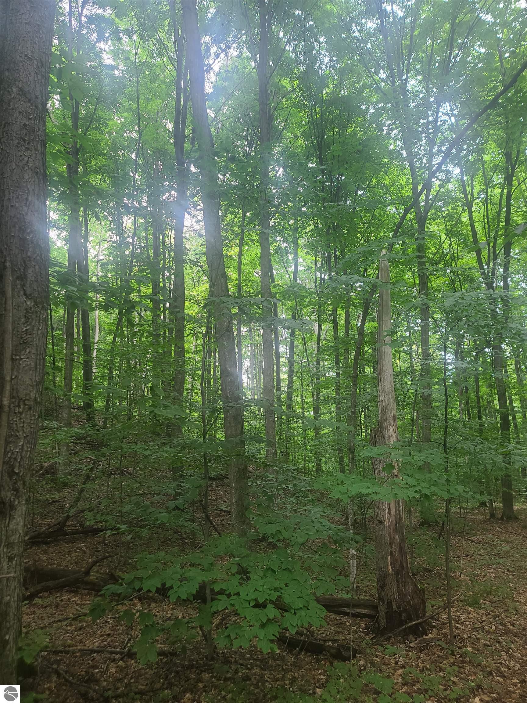 0000 Trail 29 Lane