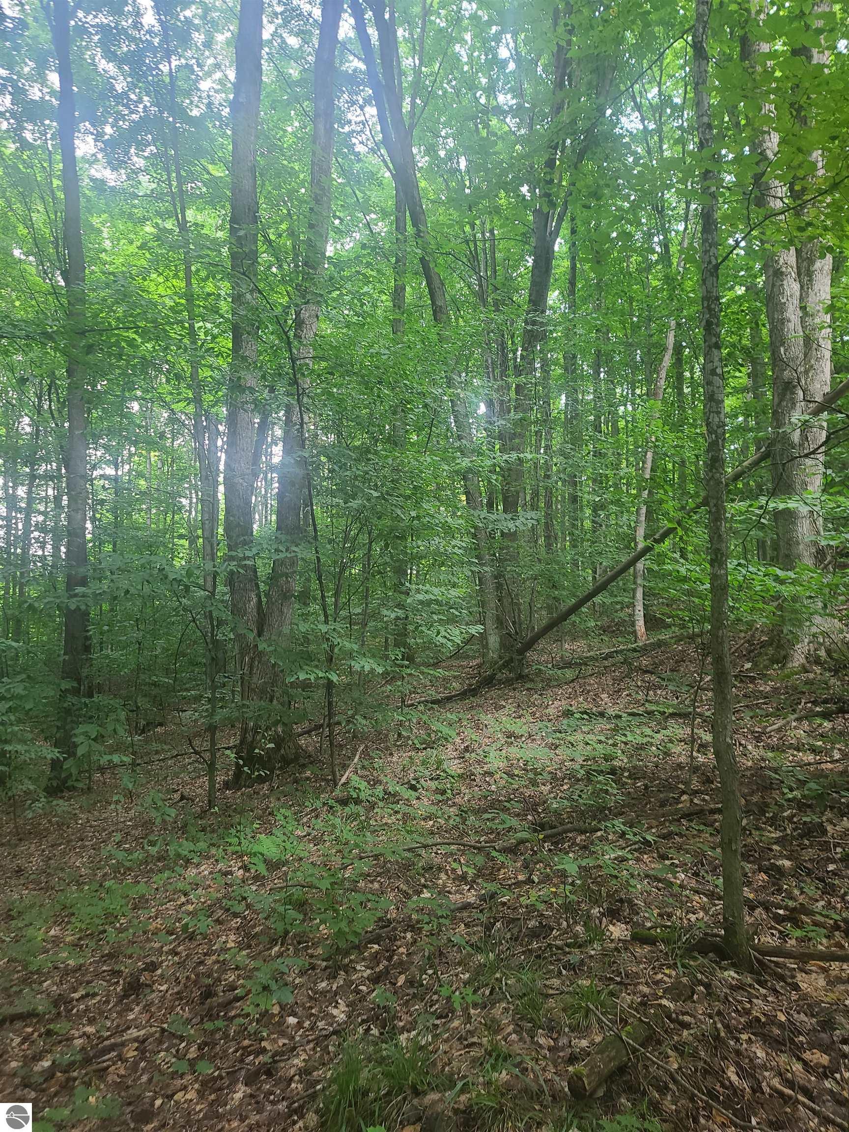 0000 Trail 29 Lane