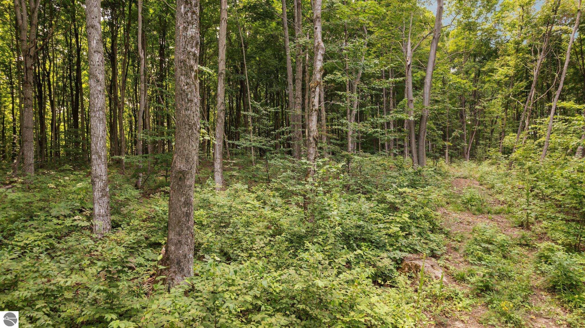 00 Smith Lake Road