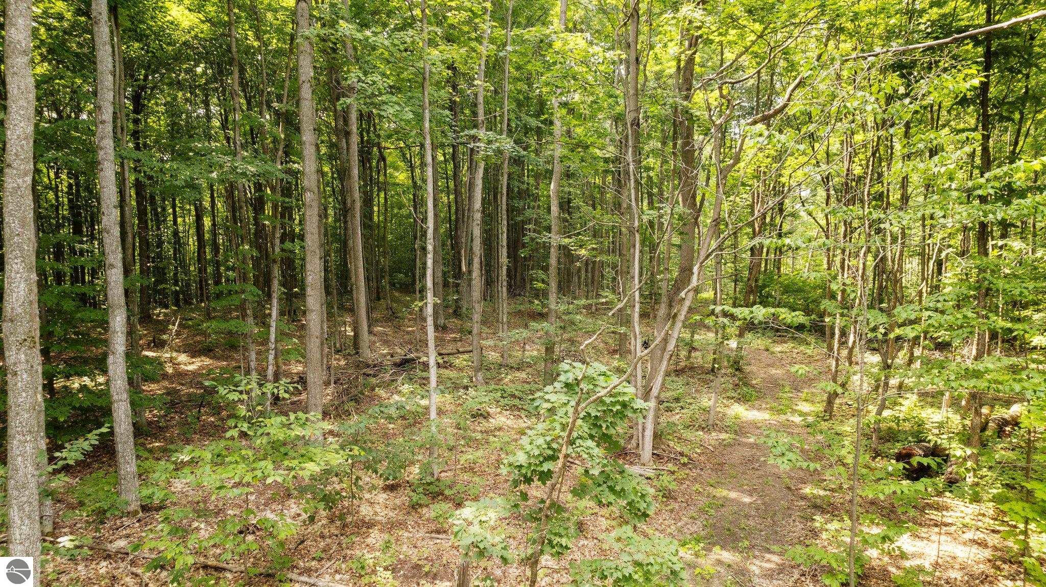 00 Smith Lake Road