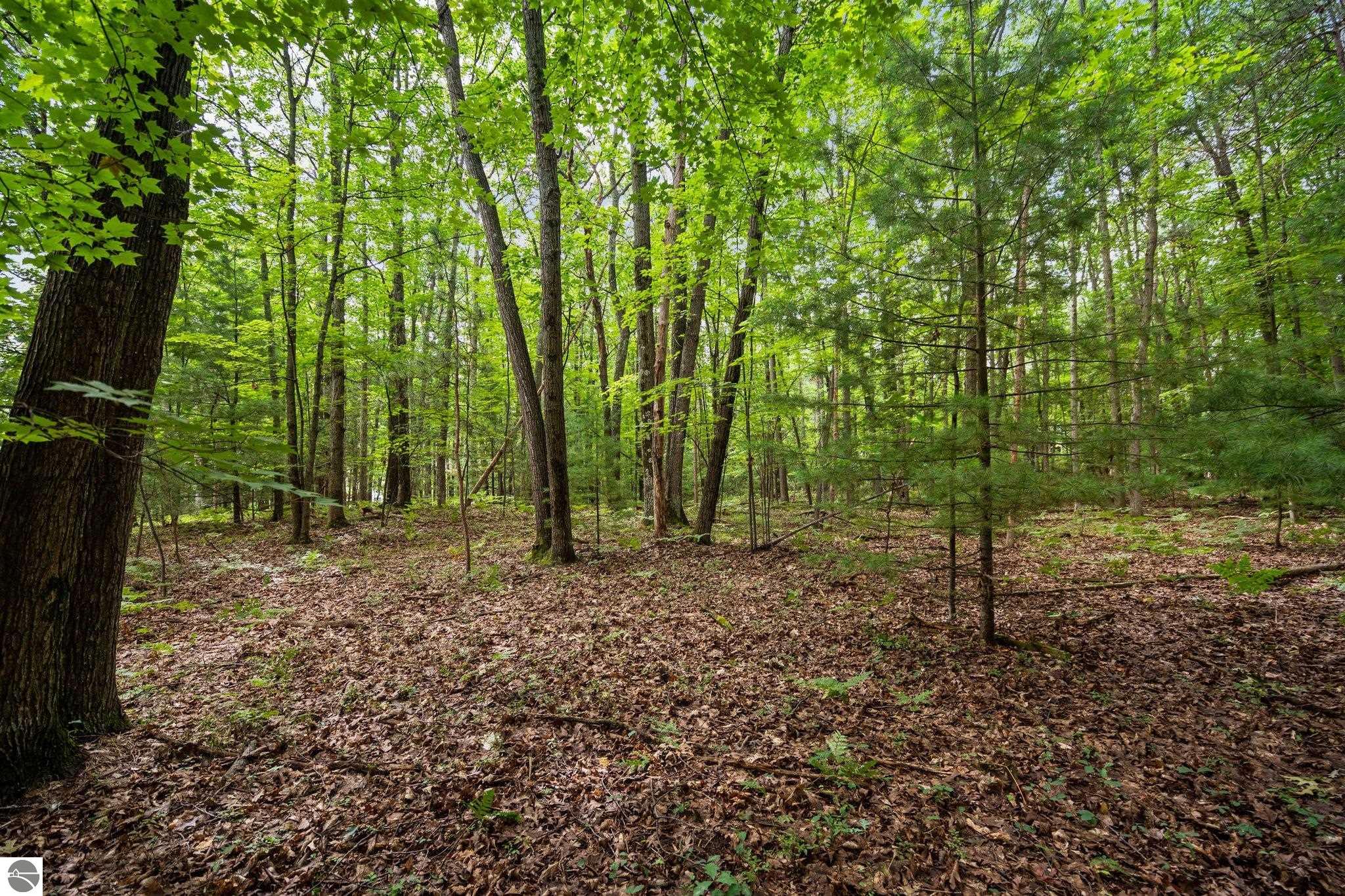 3457 Autumn Leaf Drive