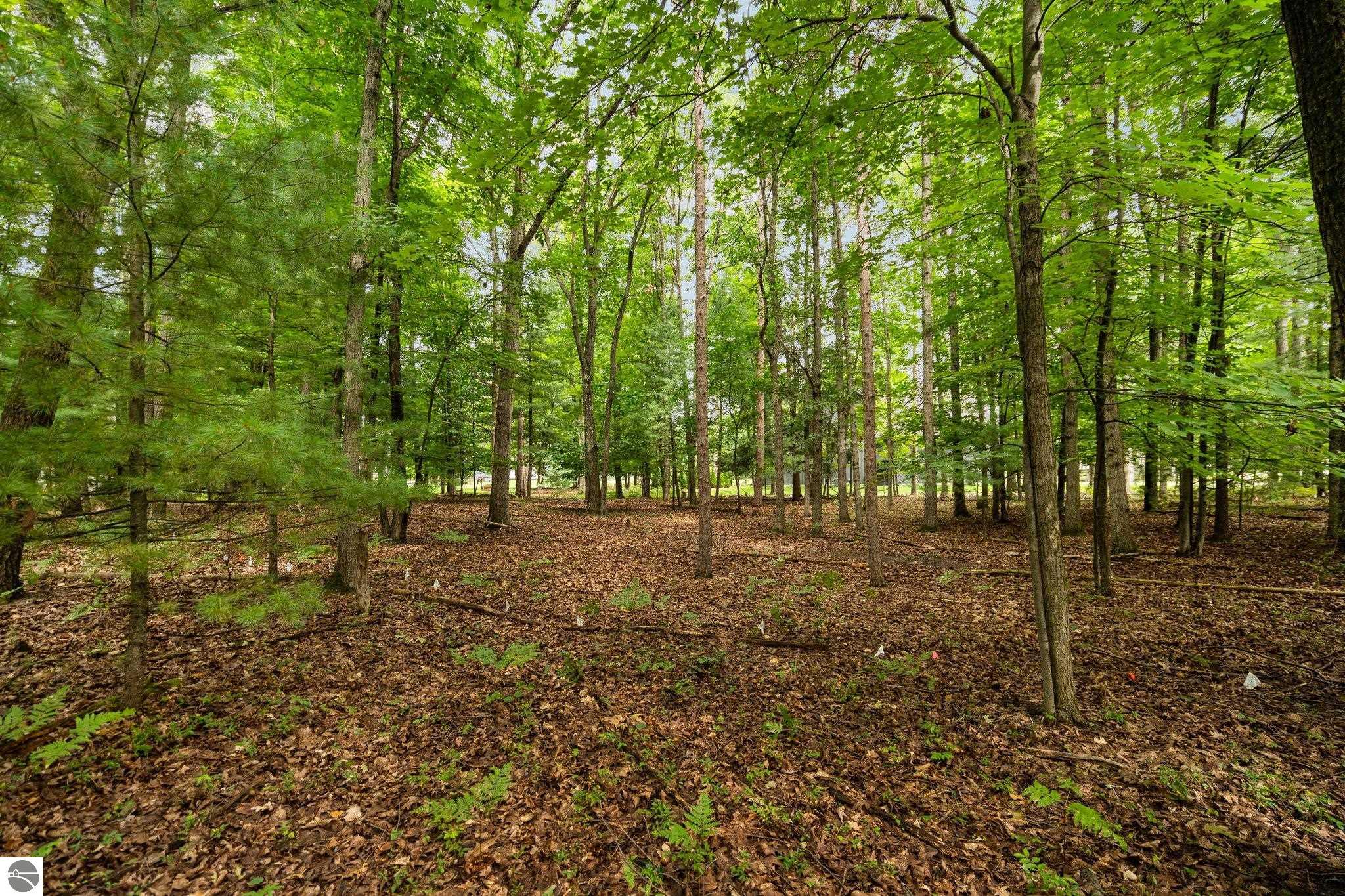 3457 Autumn Leaf Drive