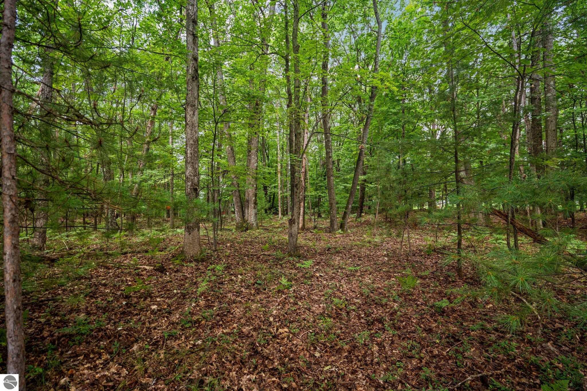 3457 Autumn Leaf Drive