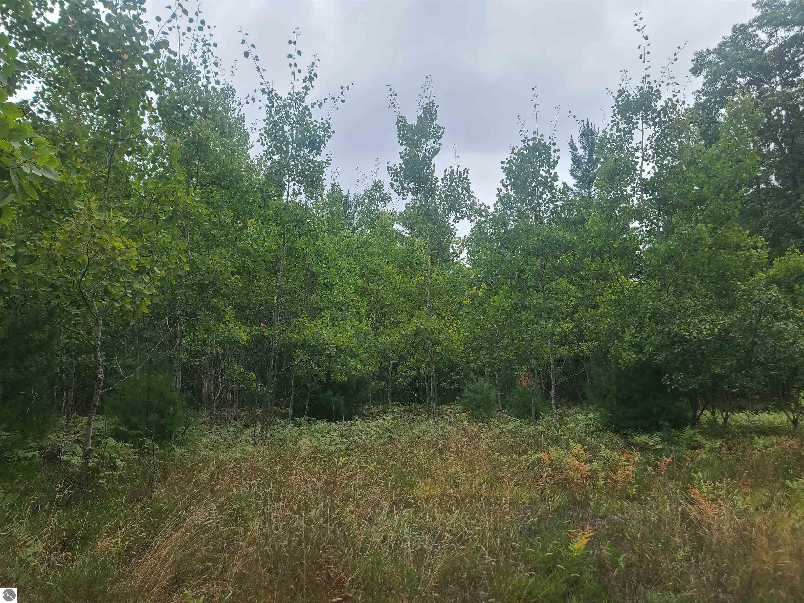 2513 NW Smith Lake Road